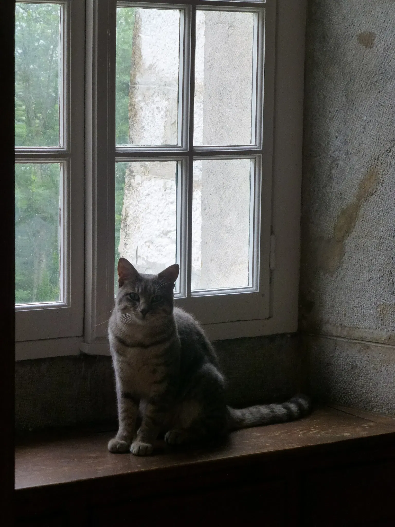 Musée de la Grande Chartreuse