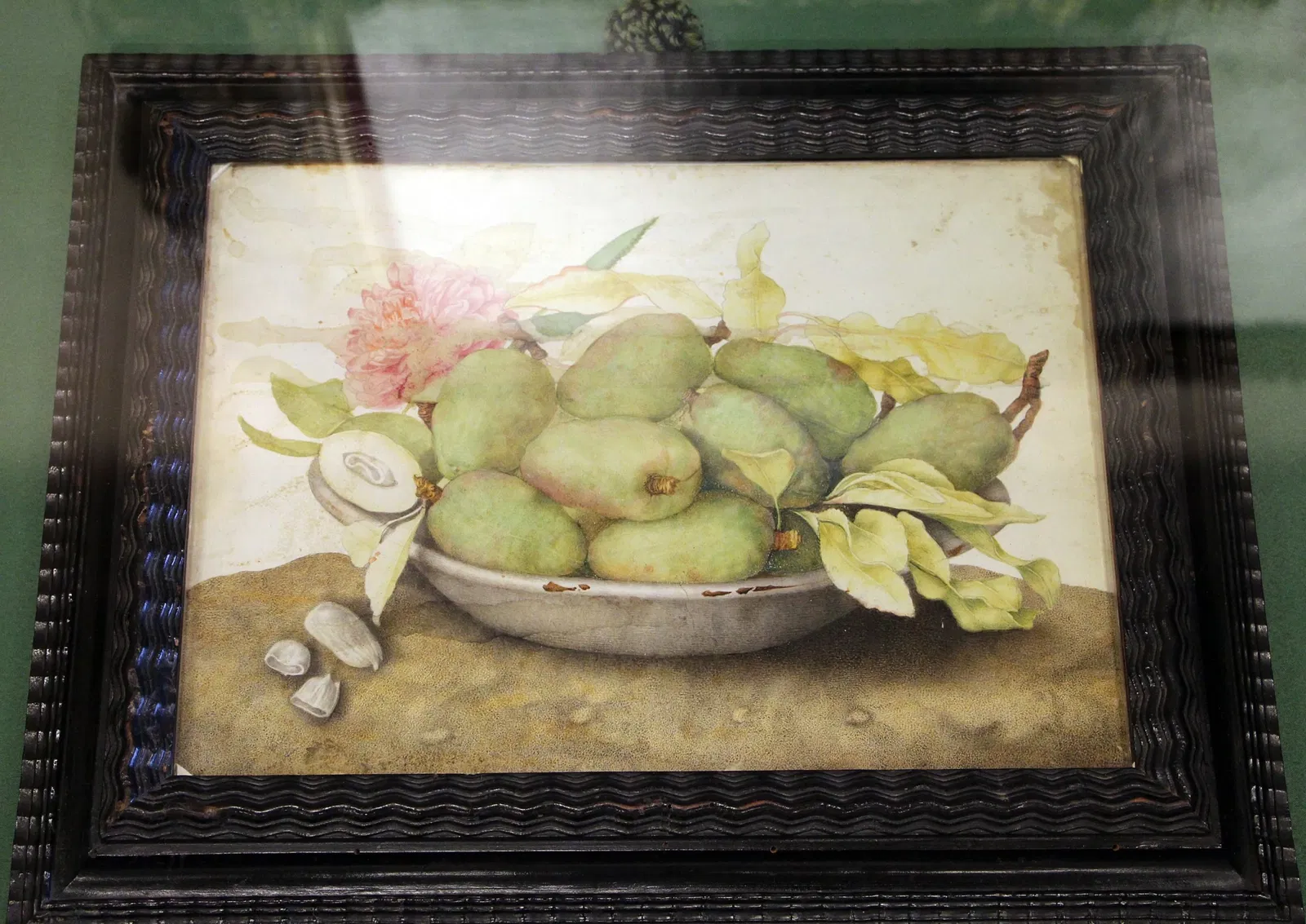 Villa Medicea di Poggio a Caiano e Museo della Natura Morta