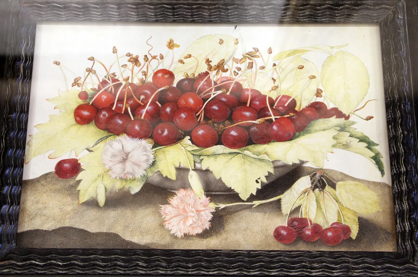 Villa Medicea di Poggio a Caiano e Museo della Natura Morta