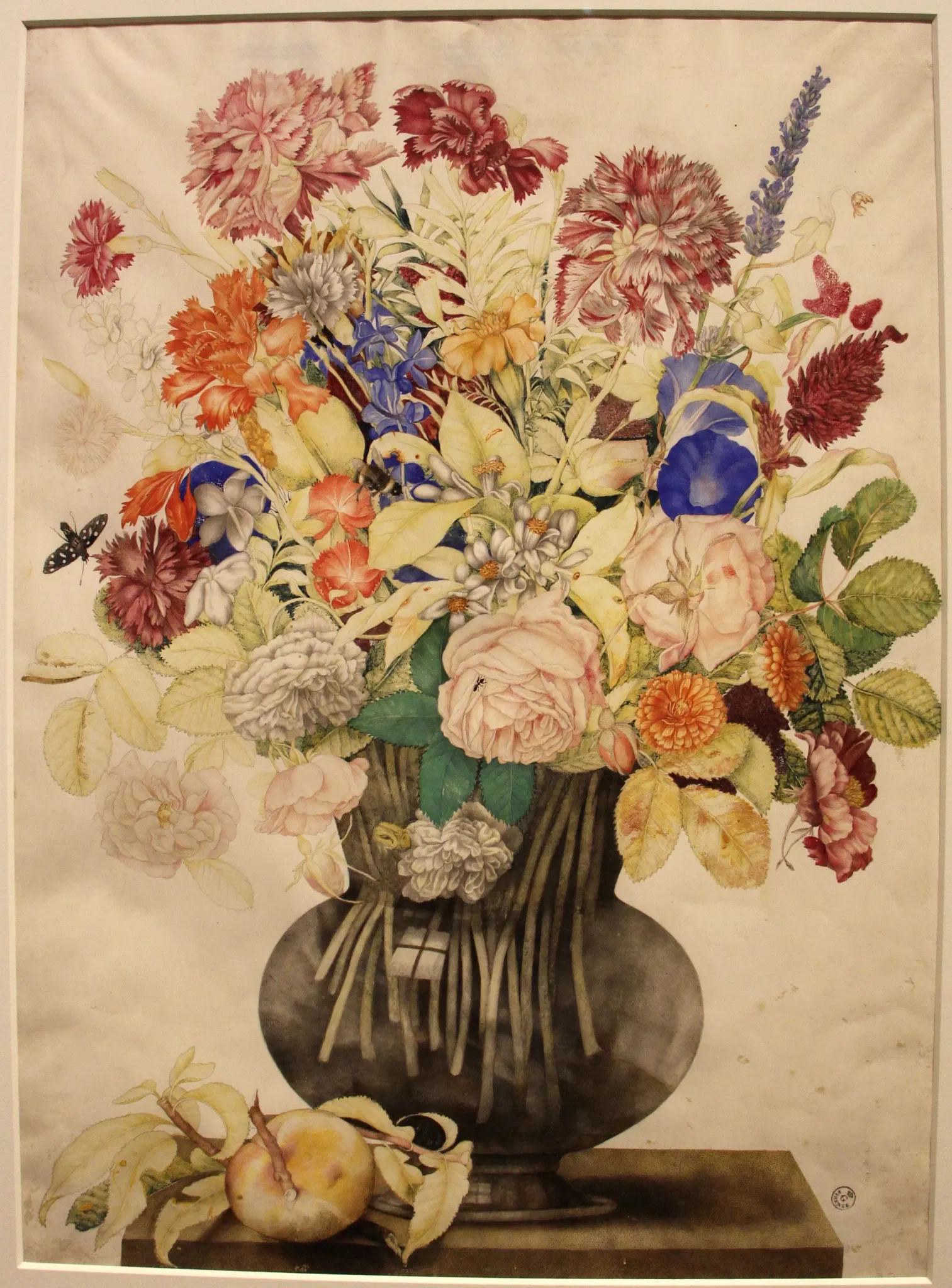 Villa Medicea di Poggio a Caiano e Museo della Natura Morta