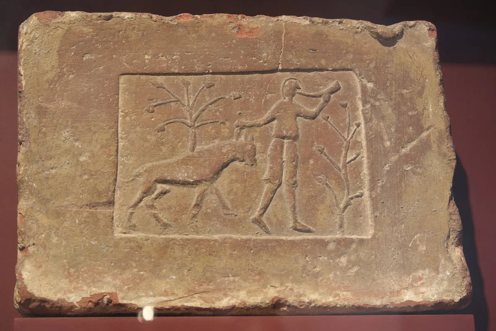 Musée Municipal de Bourg-en-Bresse