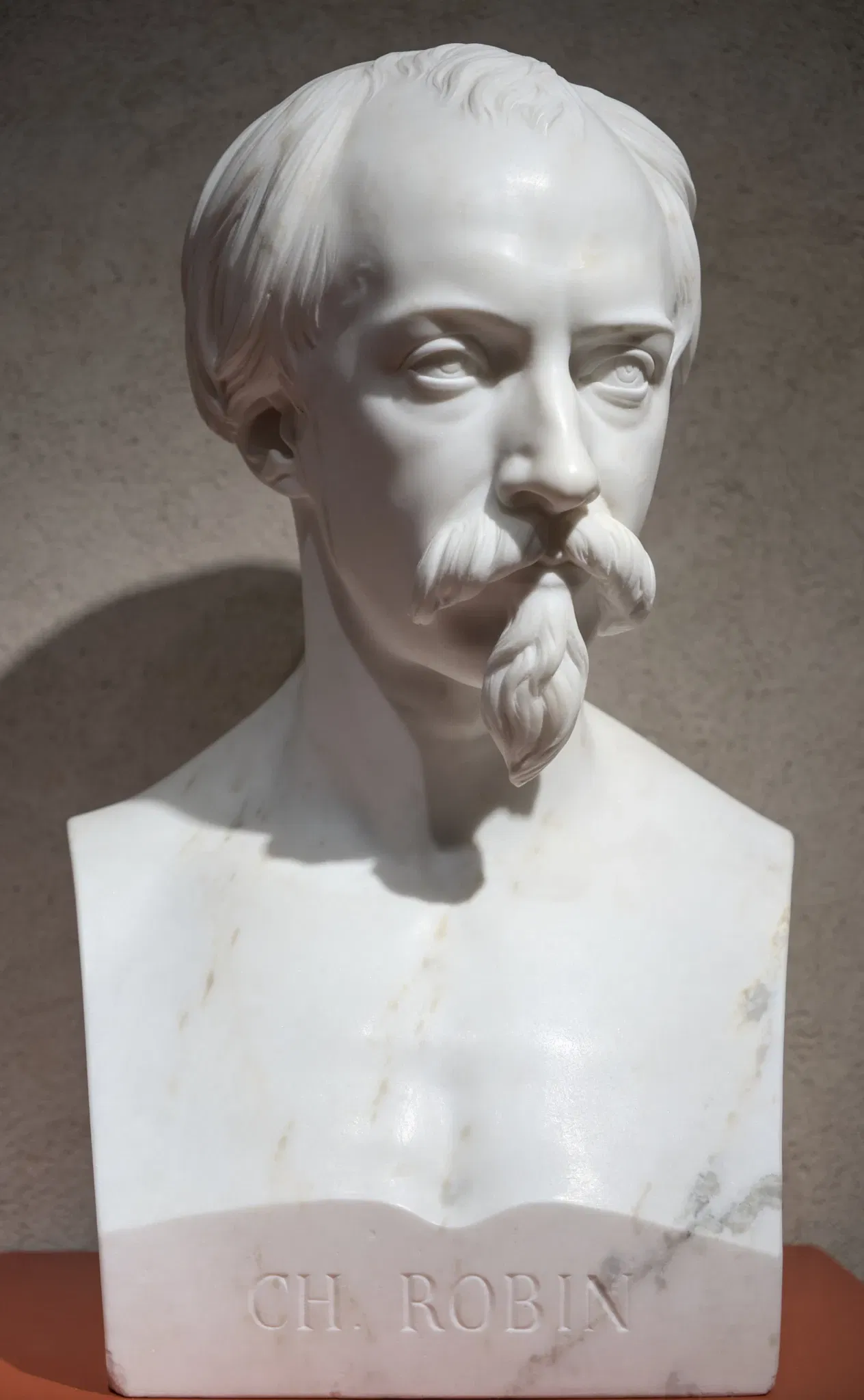 Municipal Museum of Bourg-en-Bresse