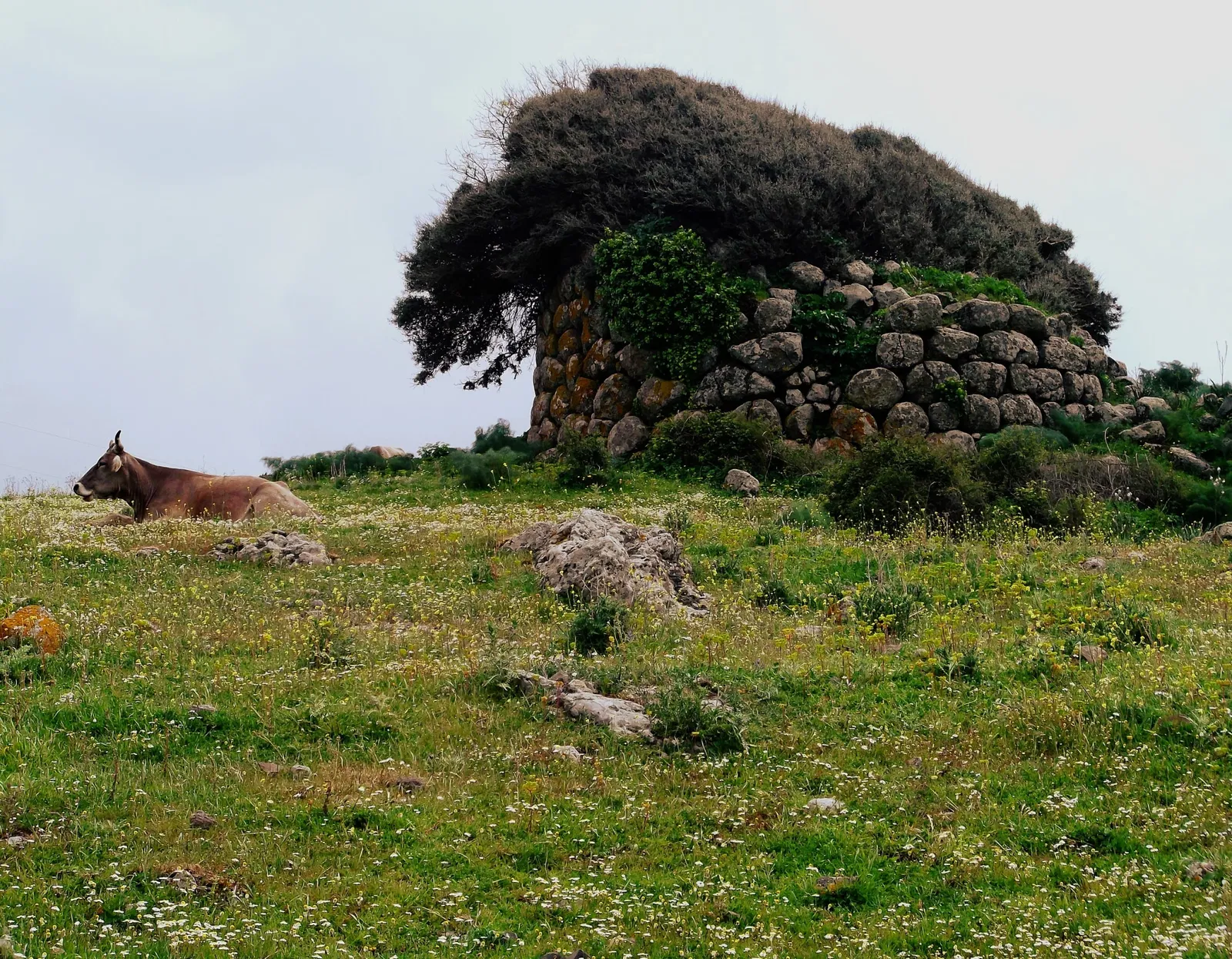 Nuraghe Seruci