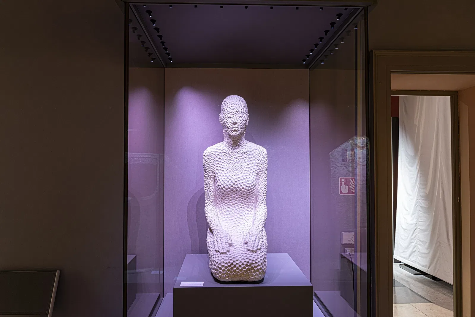 Museo Diocesano di Massa