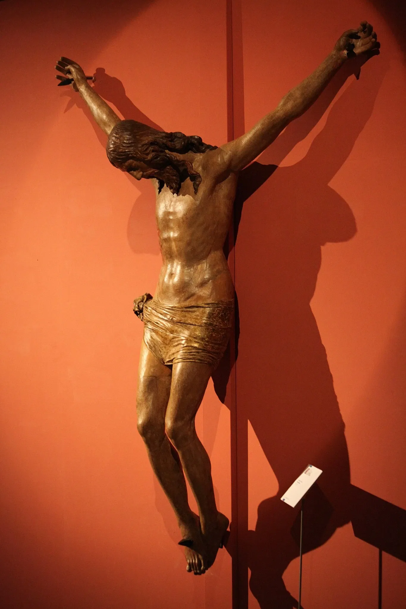 Museo Diocesano di Massa