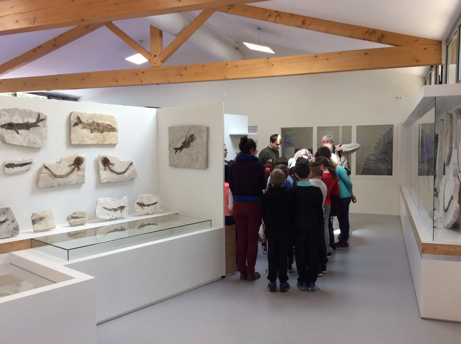 Natural History Museum of Ardèche