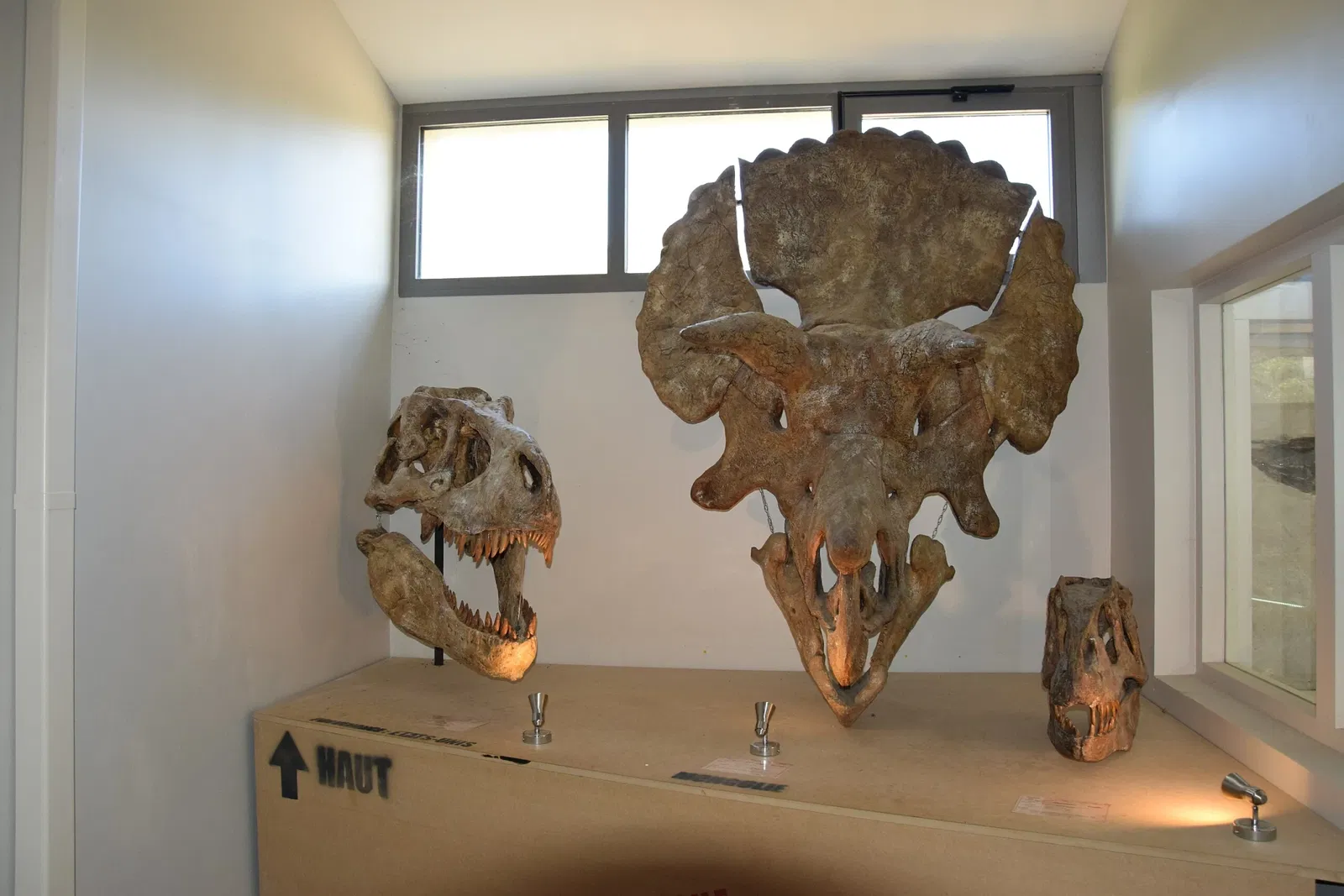 Natural History Museum of Ardèche