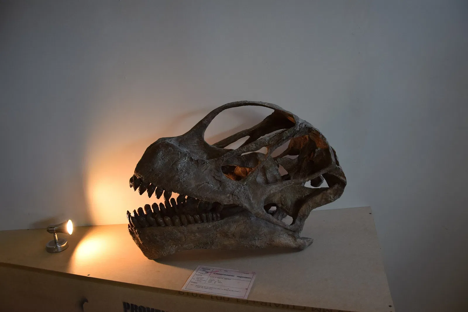 Natural History Museum of Ardèche