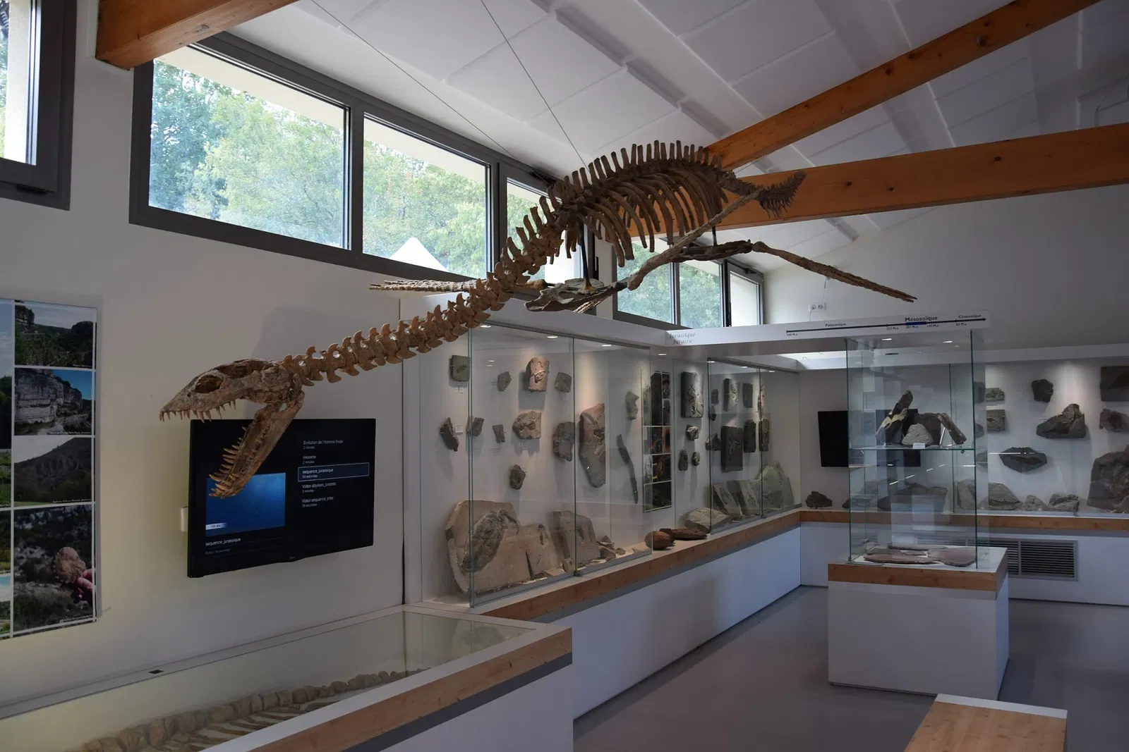 Muséum de l'Ardèche