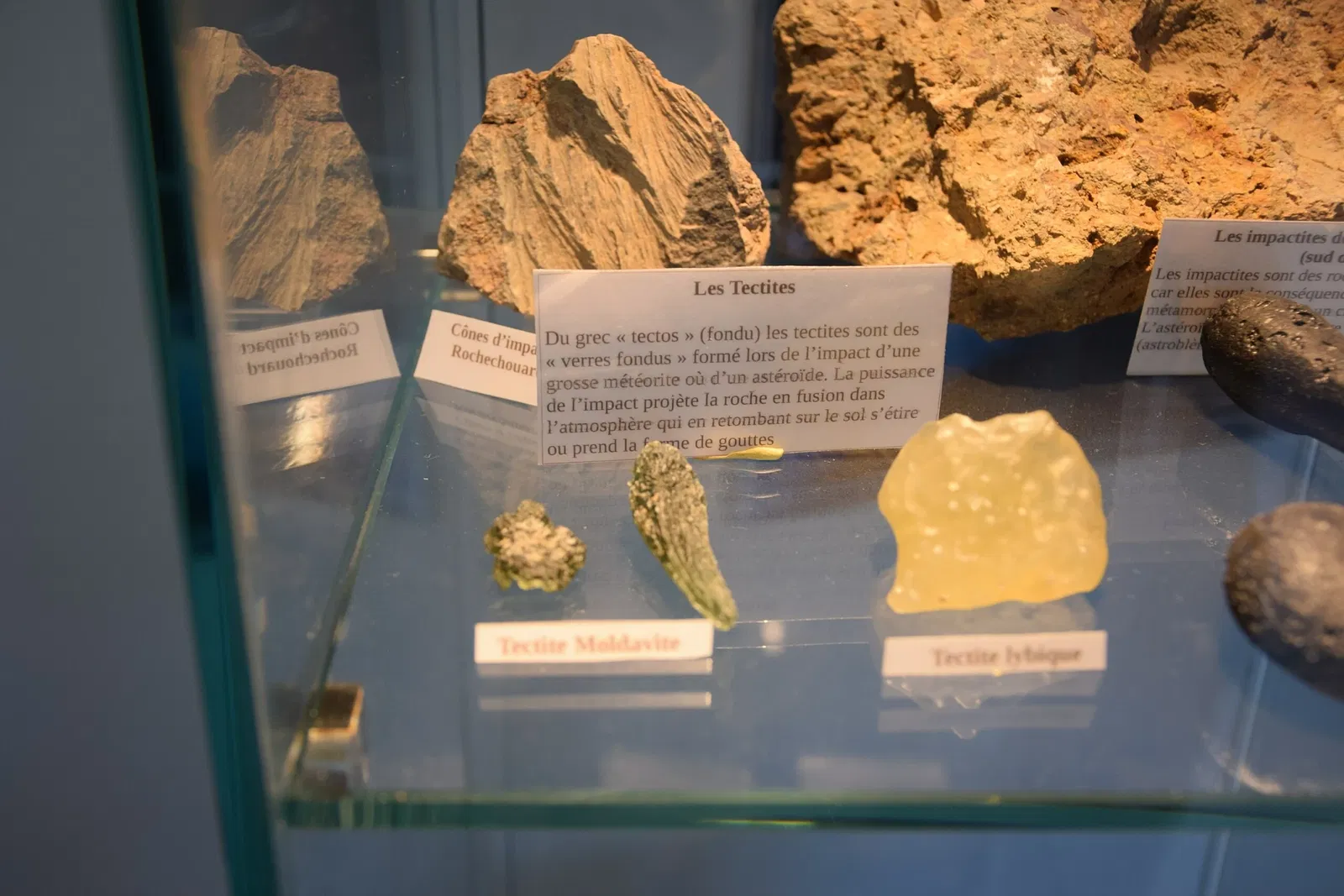 Muséum de l'Ardèche