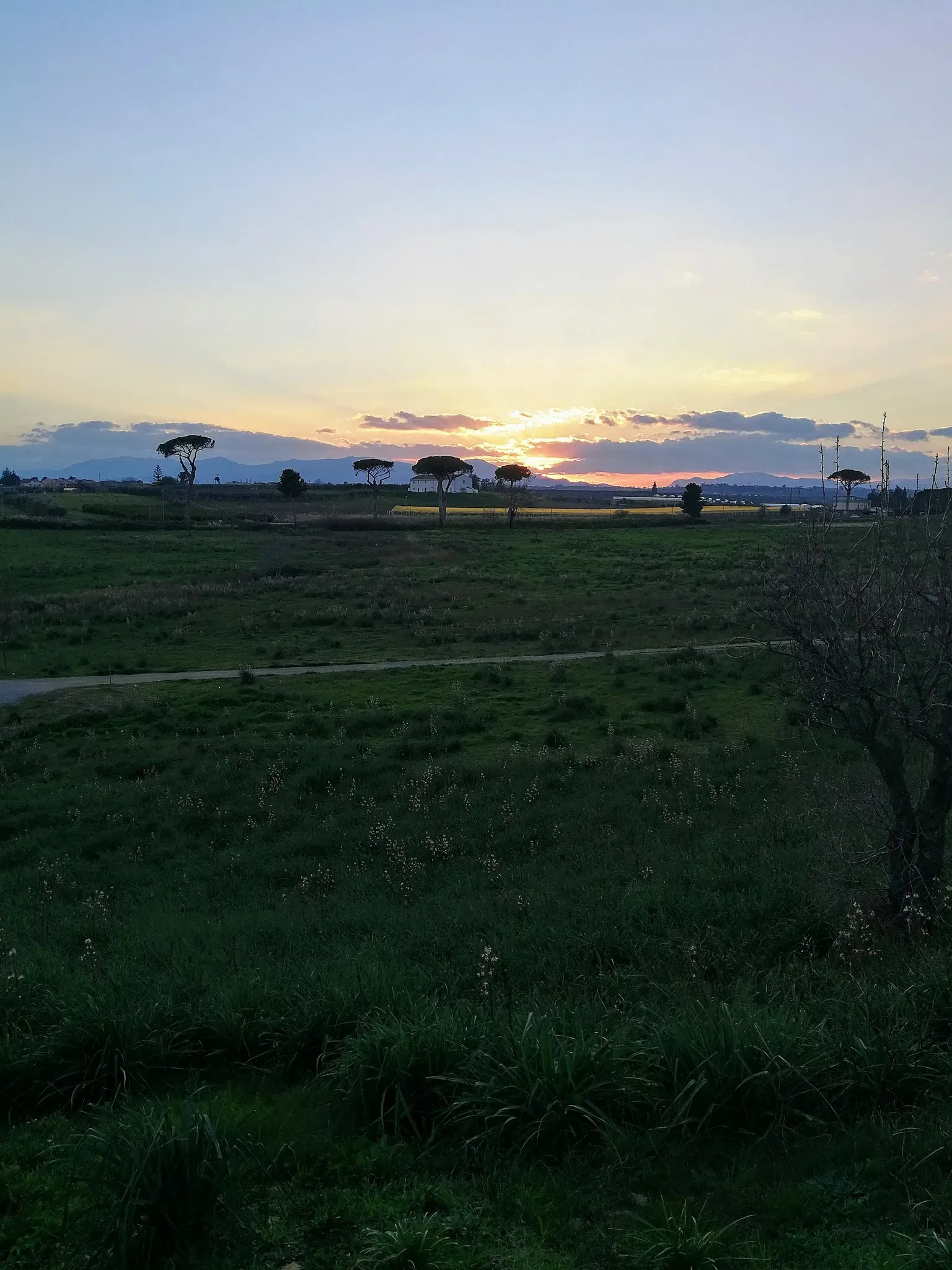 Museo Archeologico Nazionale della Siritide