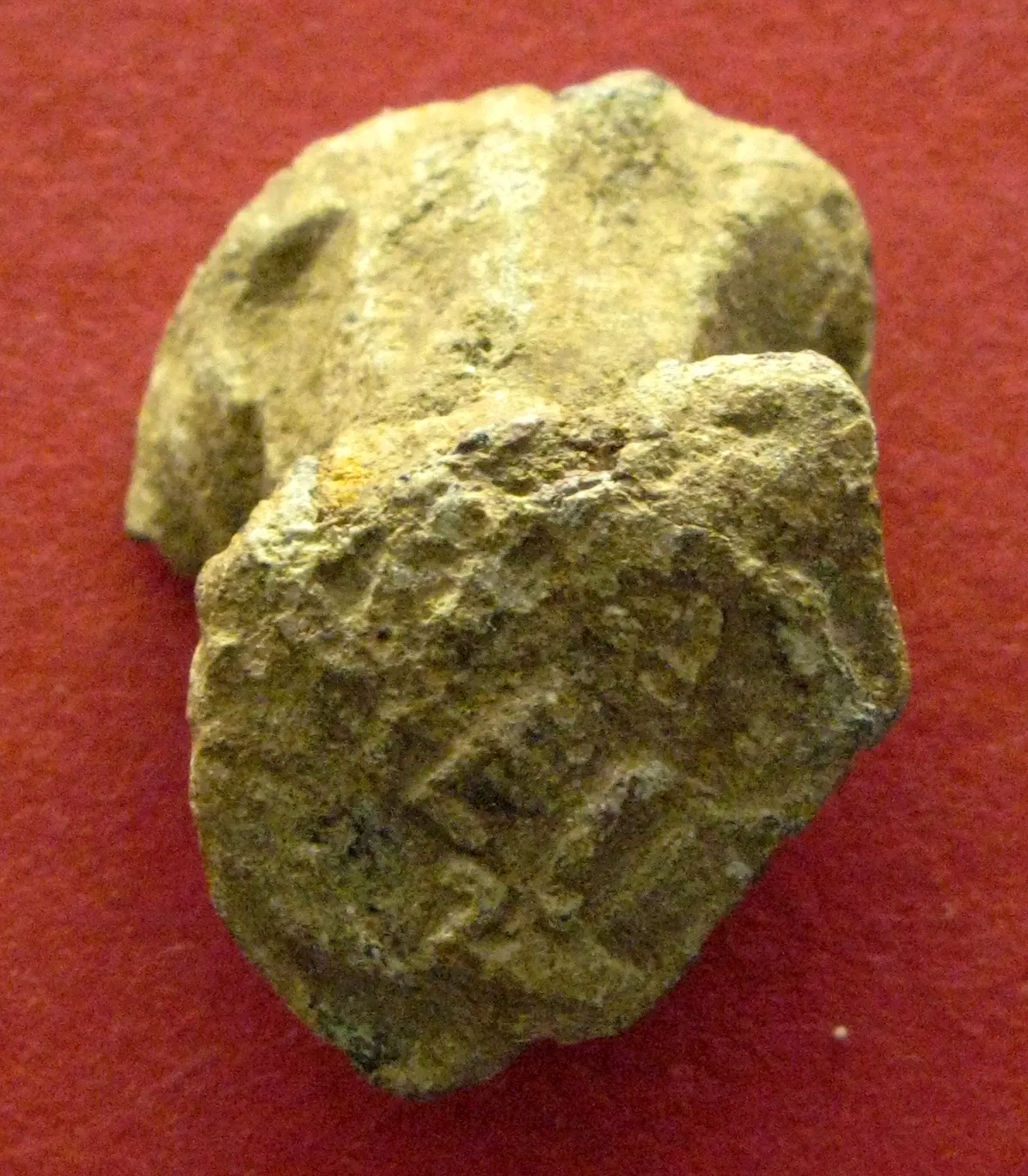 Museo Archeologico Nazionale Vito Capialbi