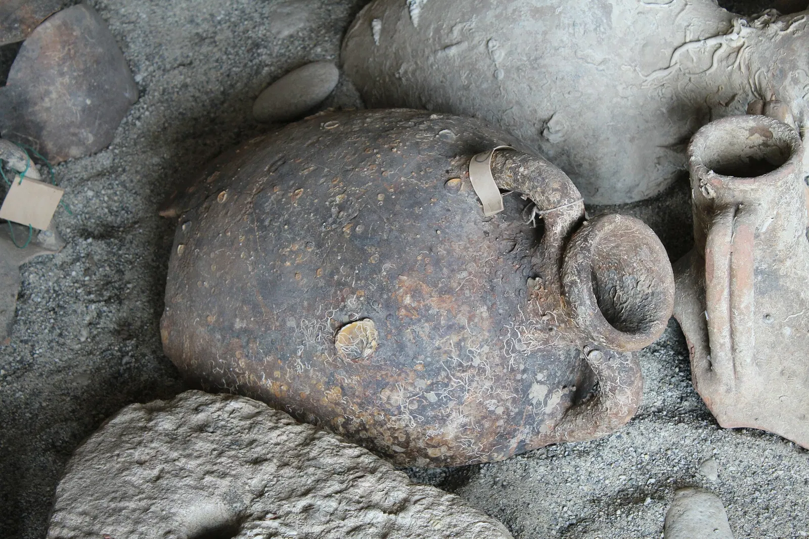 Museo Archeologico Nazionale Vito Capialbi