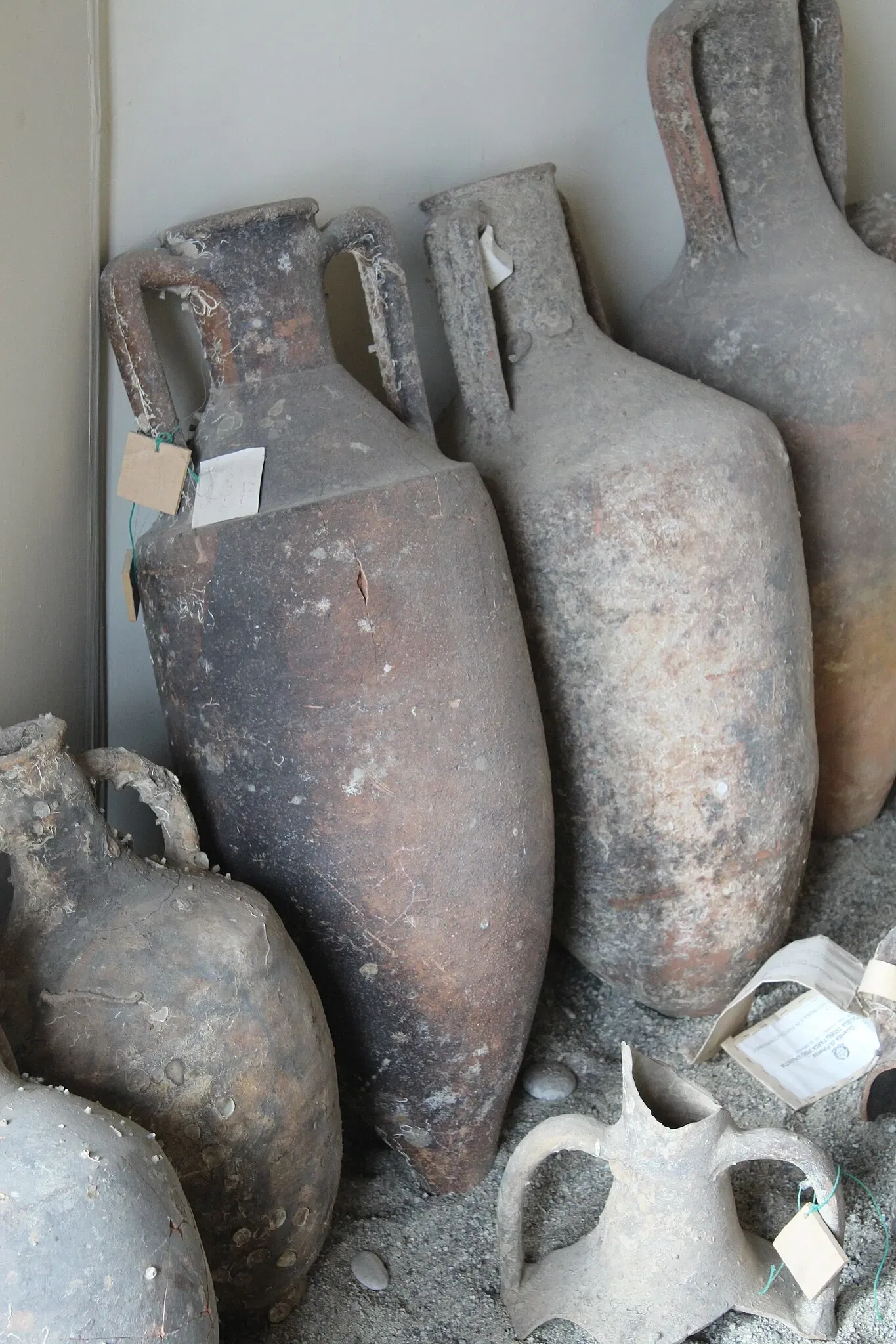 Museo Archeologico Nazionale Vito Capialbi