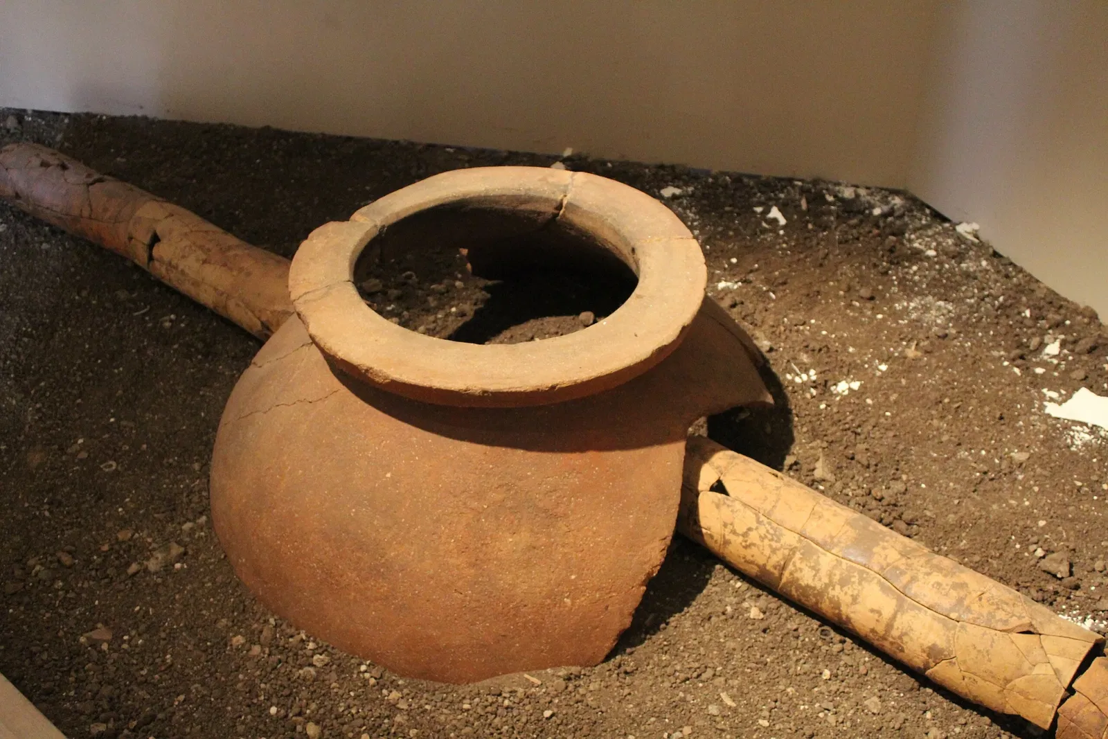 Museo Archeologico Nazionale Vito Capialbi