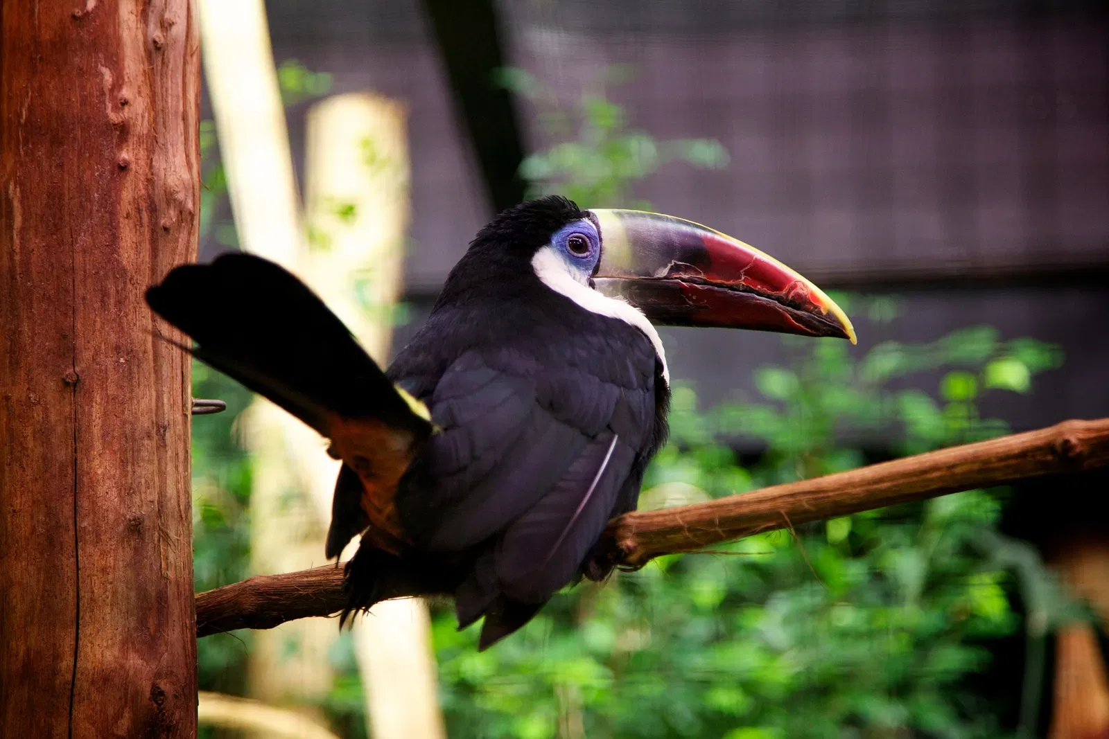 Bird Park