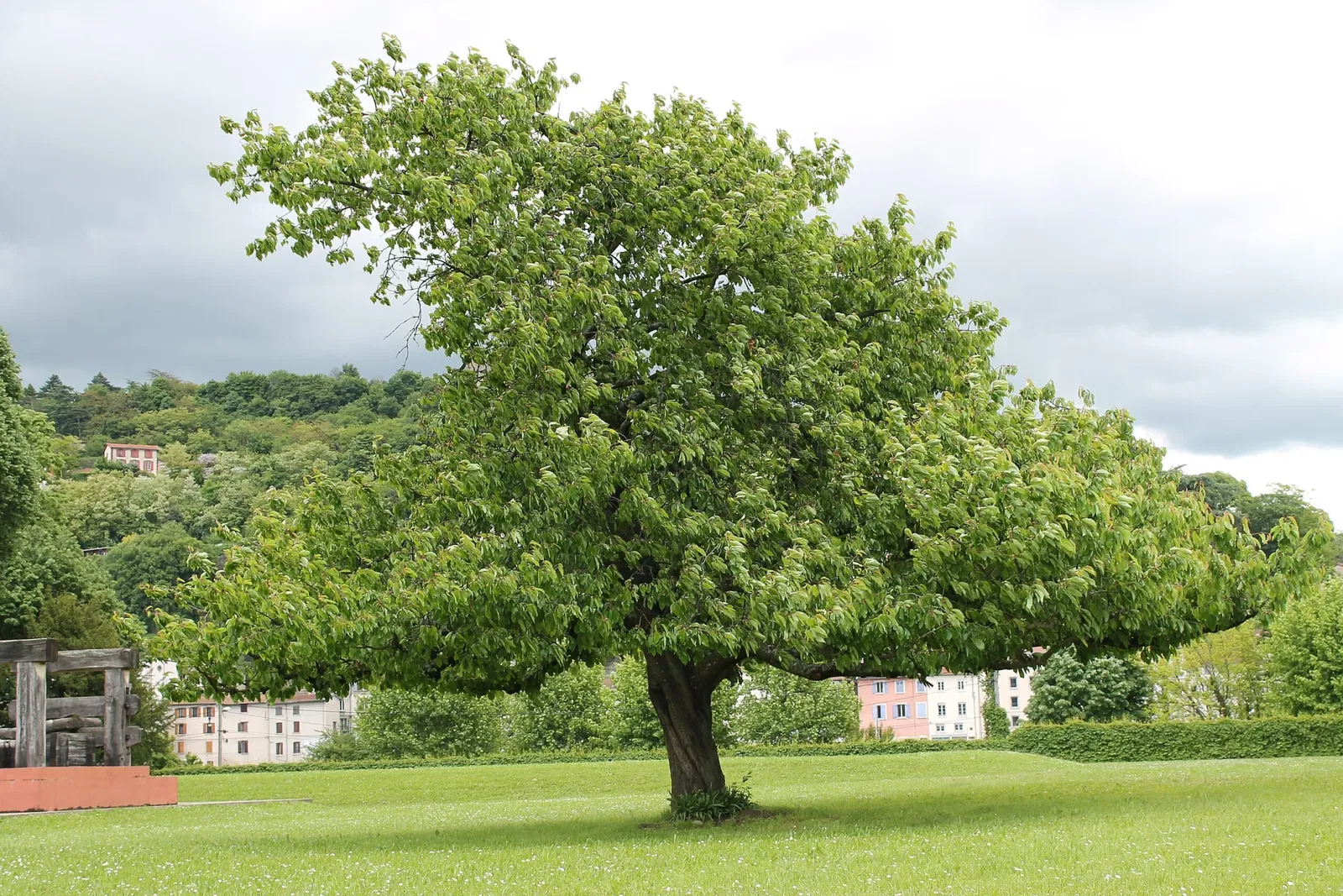 Musée Gallo-Romain de Saint-Romain-en-Gal