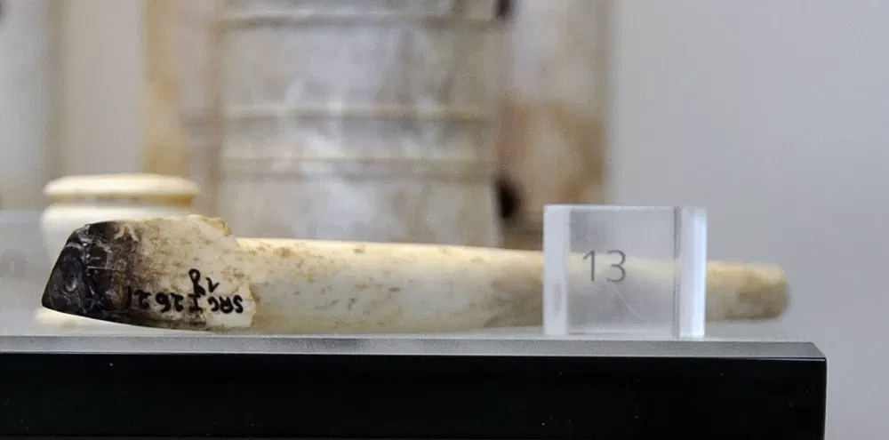 Musée Gallo-Romain de Saint-Romain-en-Gal