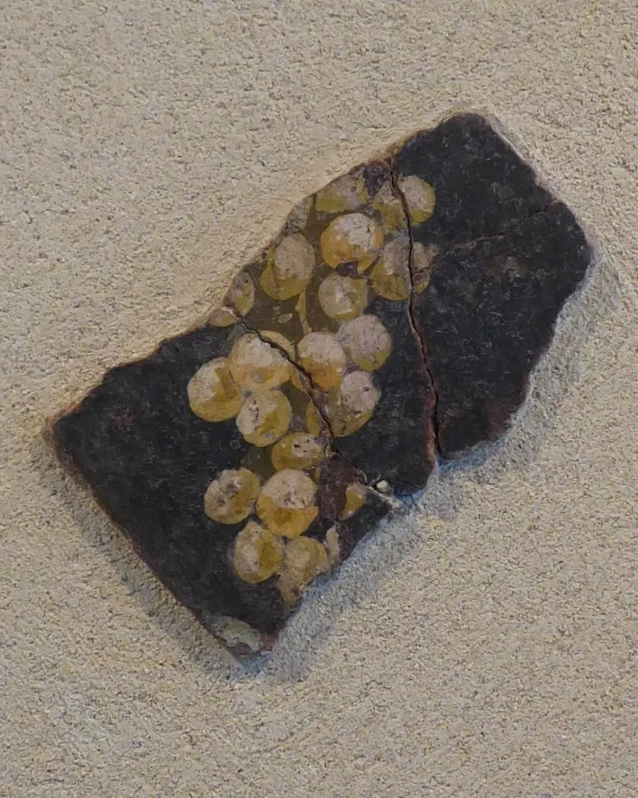 Museum and Gallo-Roman sites of Saint-Romain-en-Gal