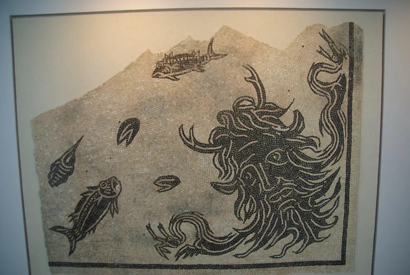 Musée Gallo-Romain de Saint-Romain-en-Gal