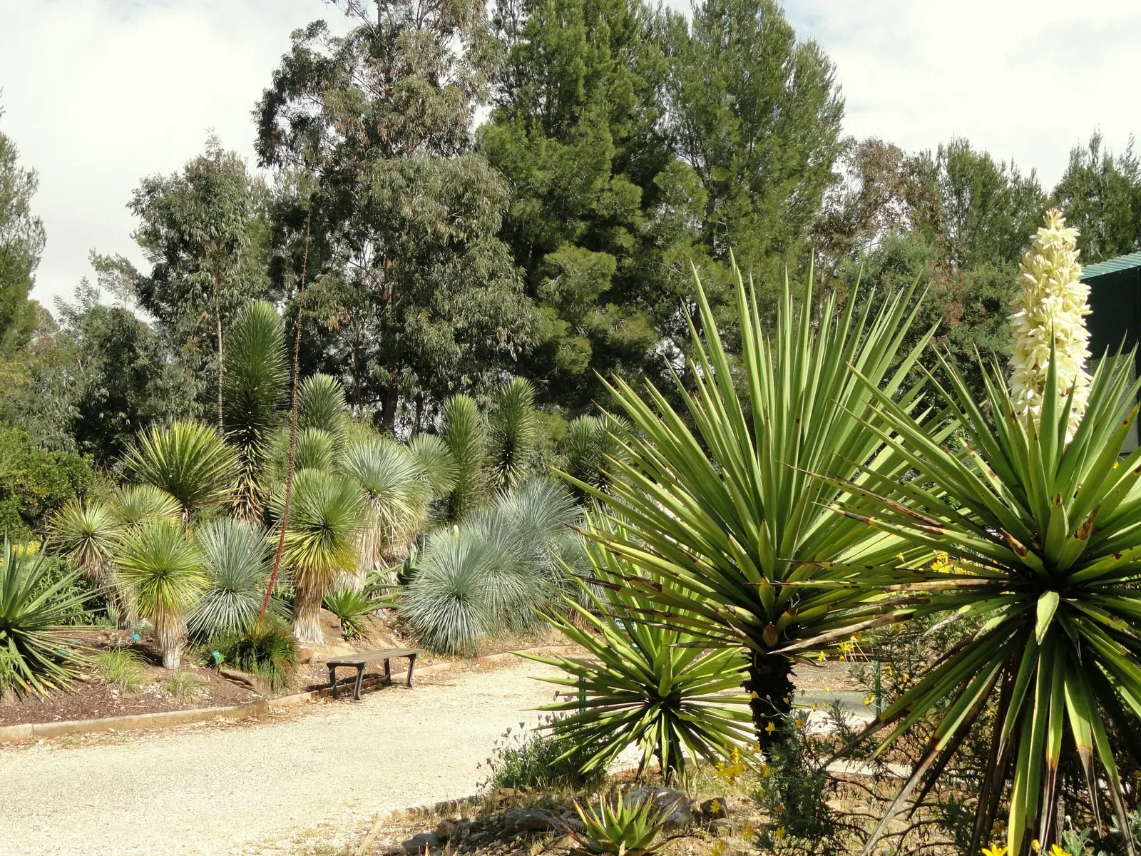 Jardin Zoologique Tropical
