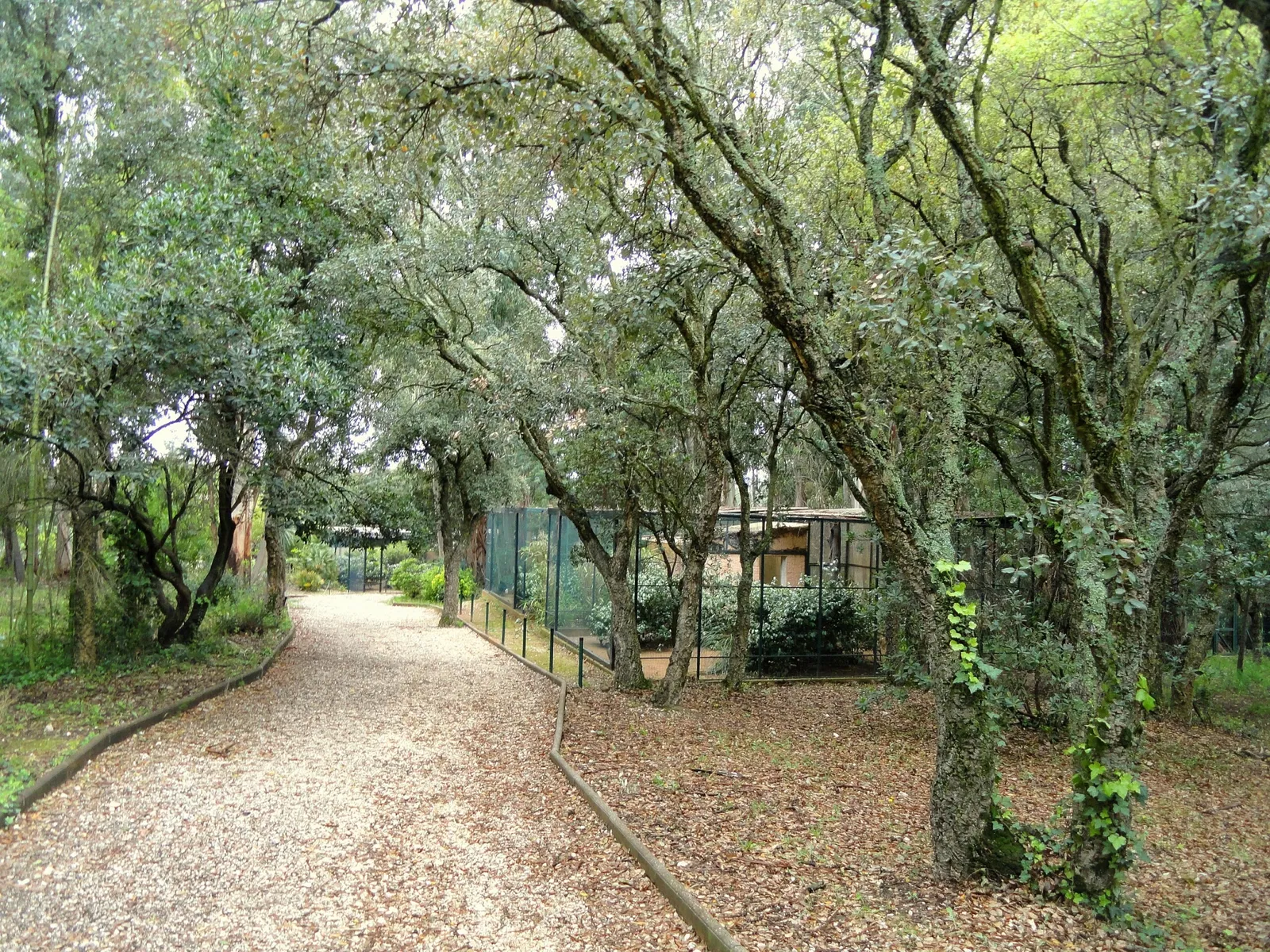 Tropical Zoological Garden