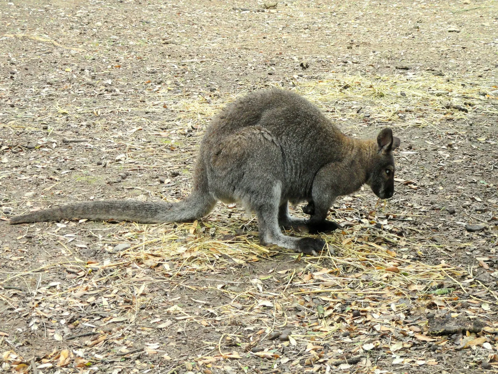 Tropical Zoological Garden