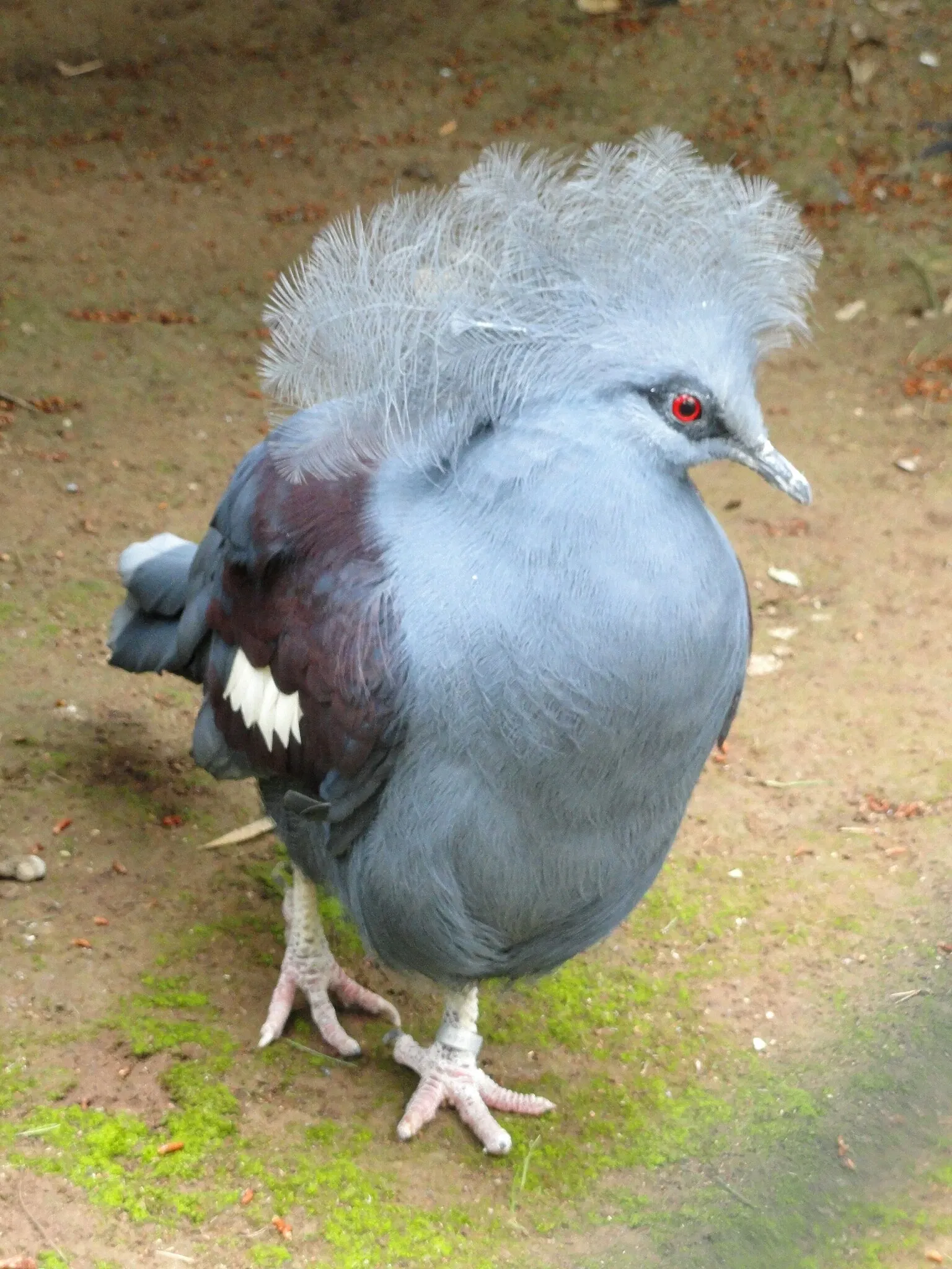 Tropical Zoological Garden