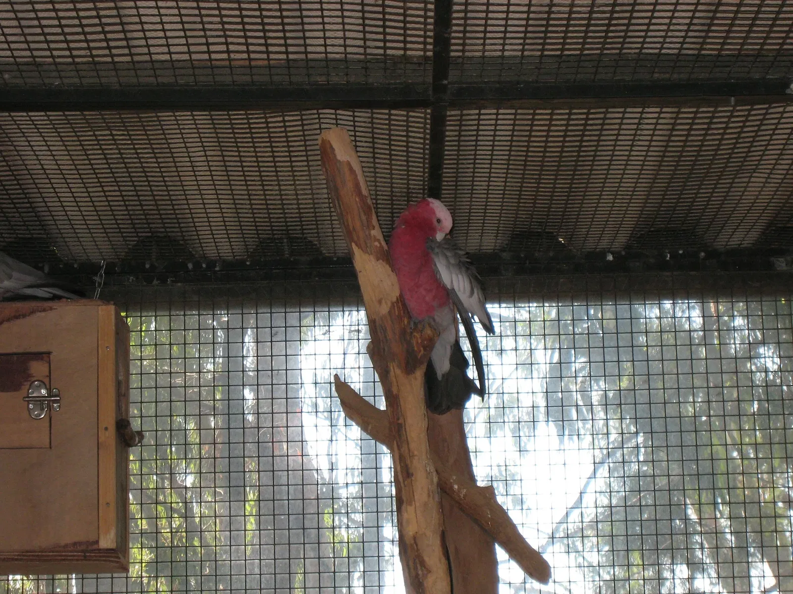 Tropical Zoological Garden