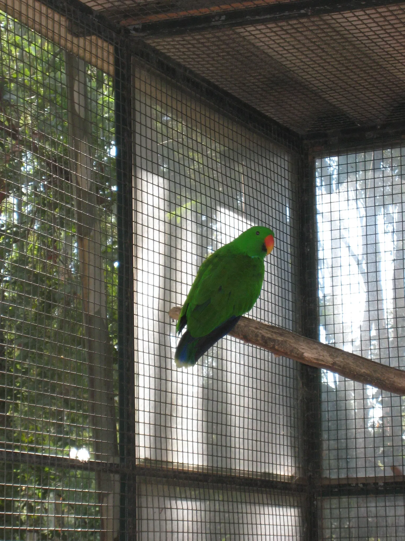 Tropical Zoological Garden