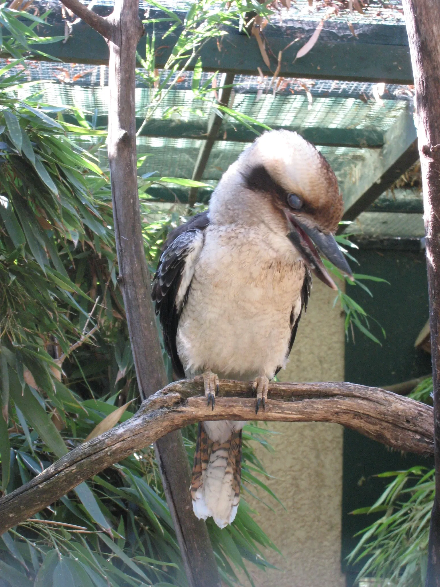 Jardin Zoologique Tropical