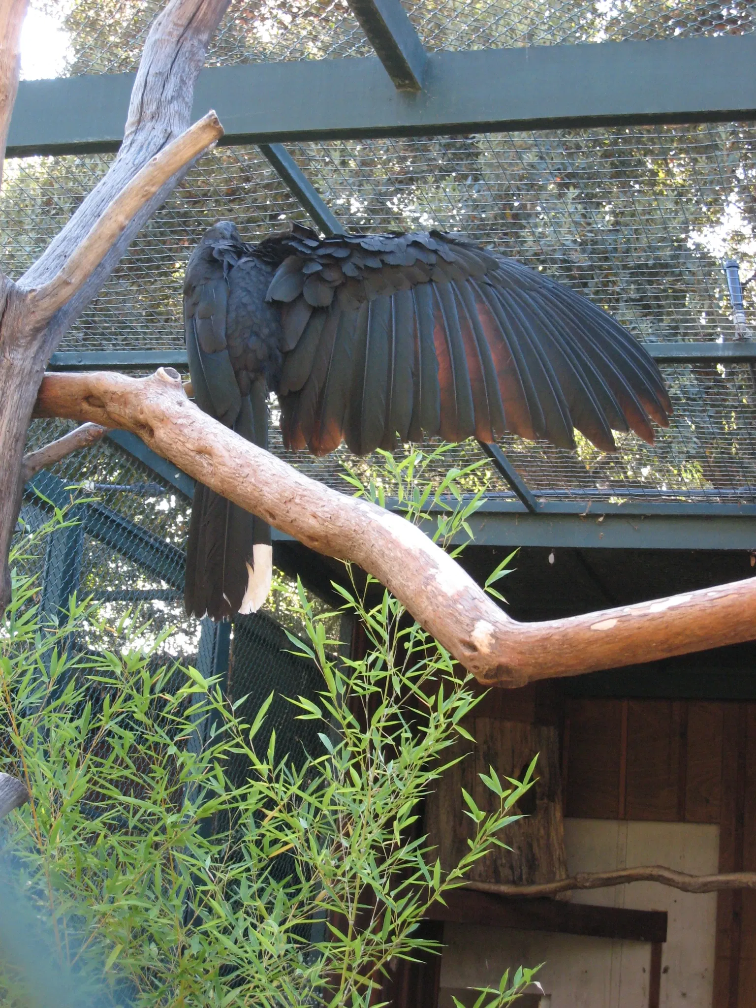 Tropical Zoological Garden