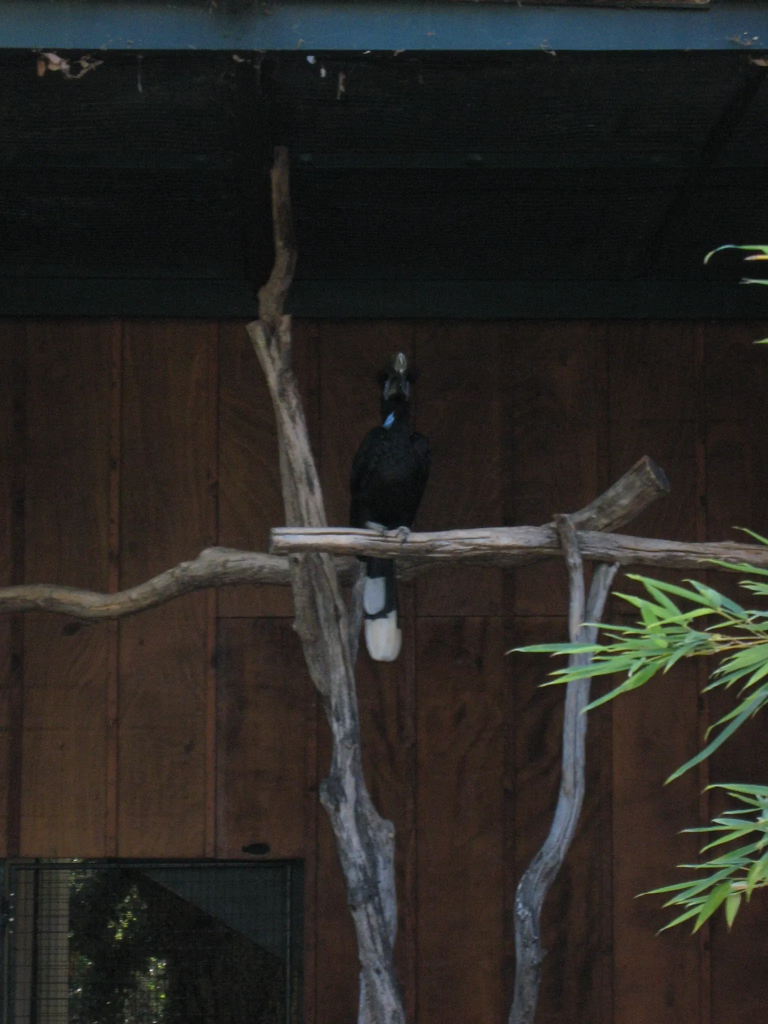 Jardin Zoologique Tropical