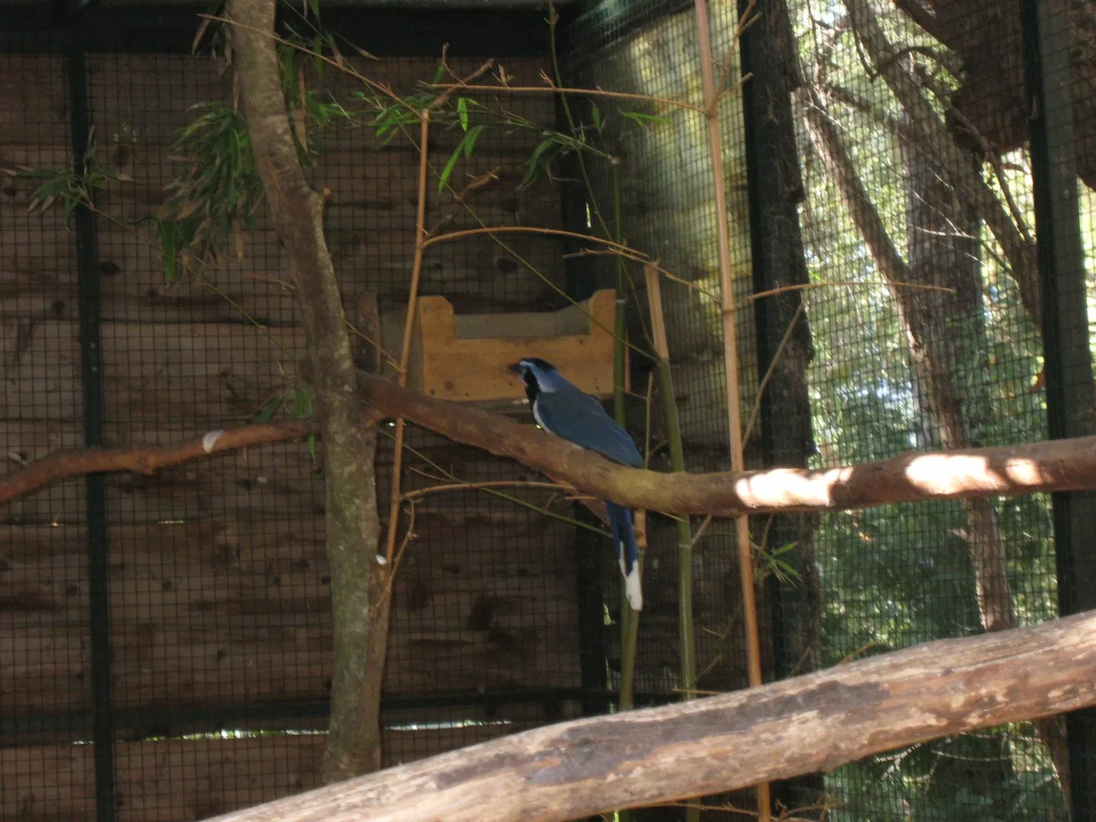 Tropical Zoological Garden