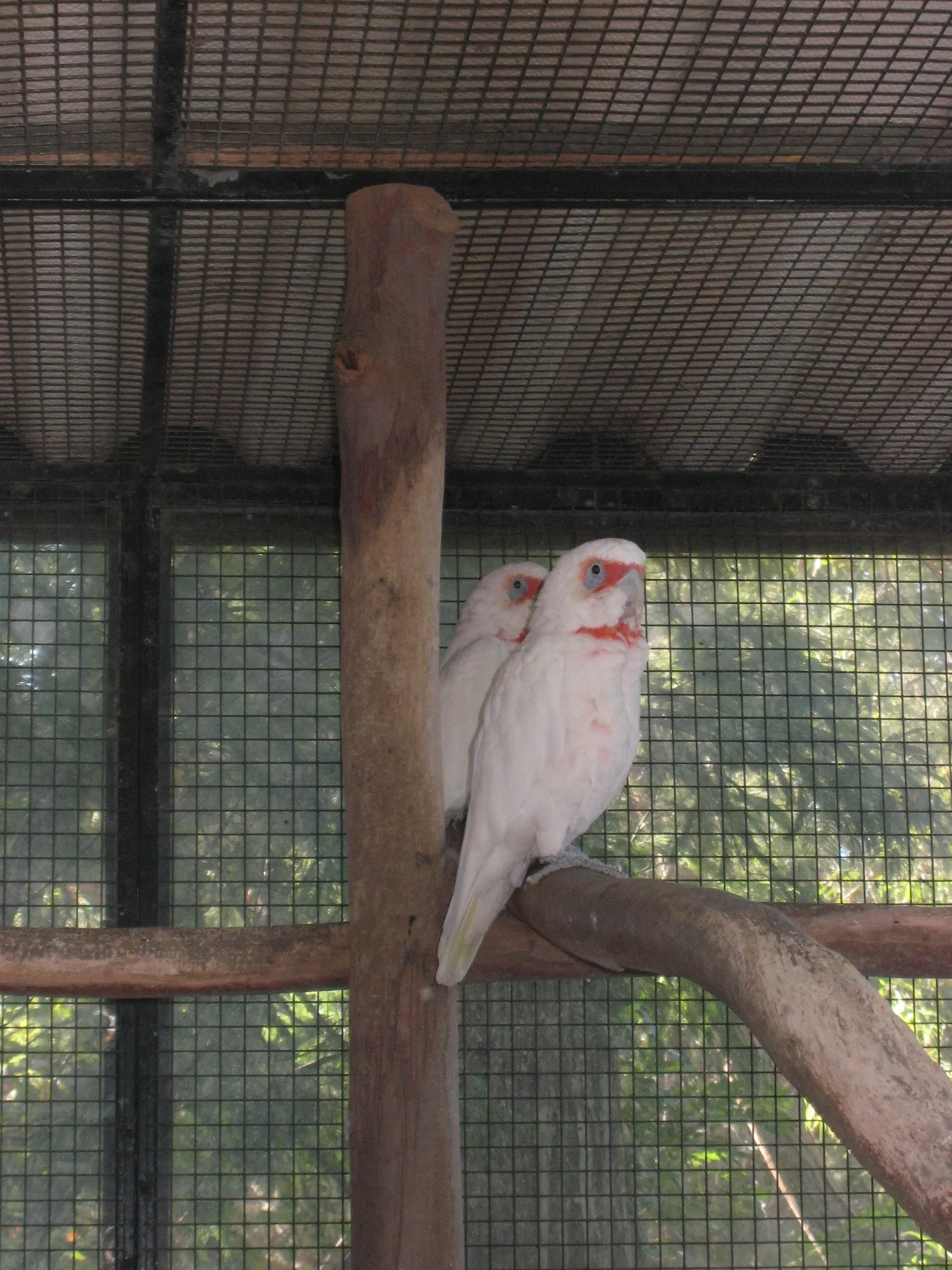 Tropical Zoological Garden