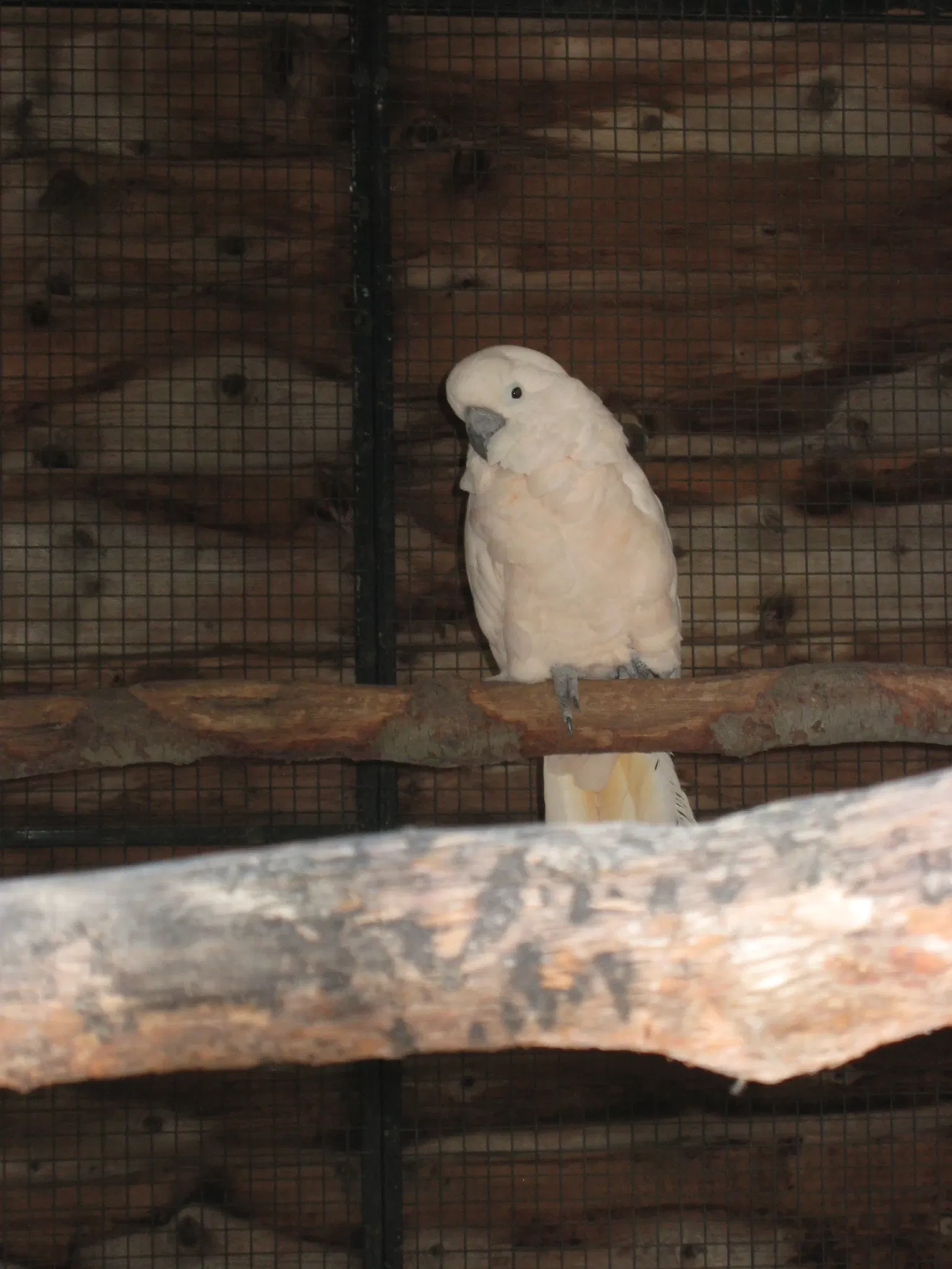 Jardin Zoologique Tropical