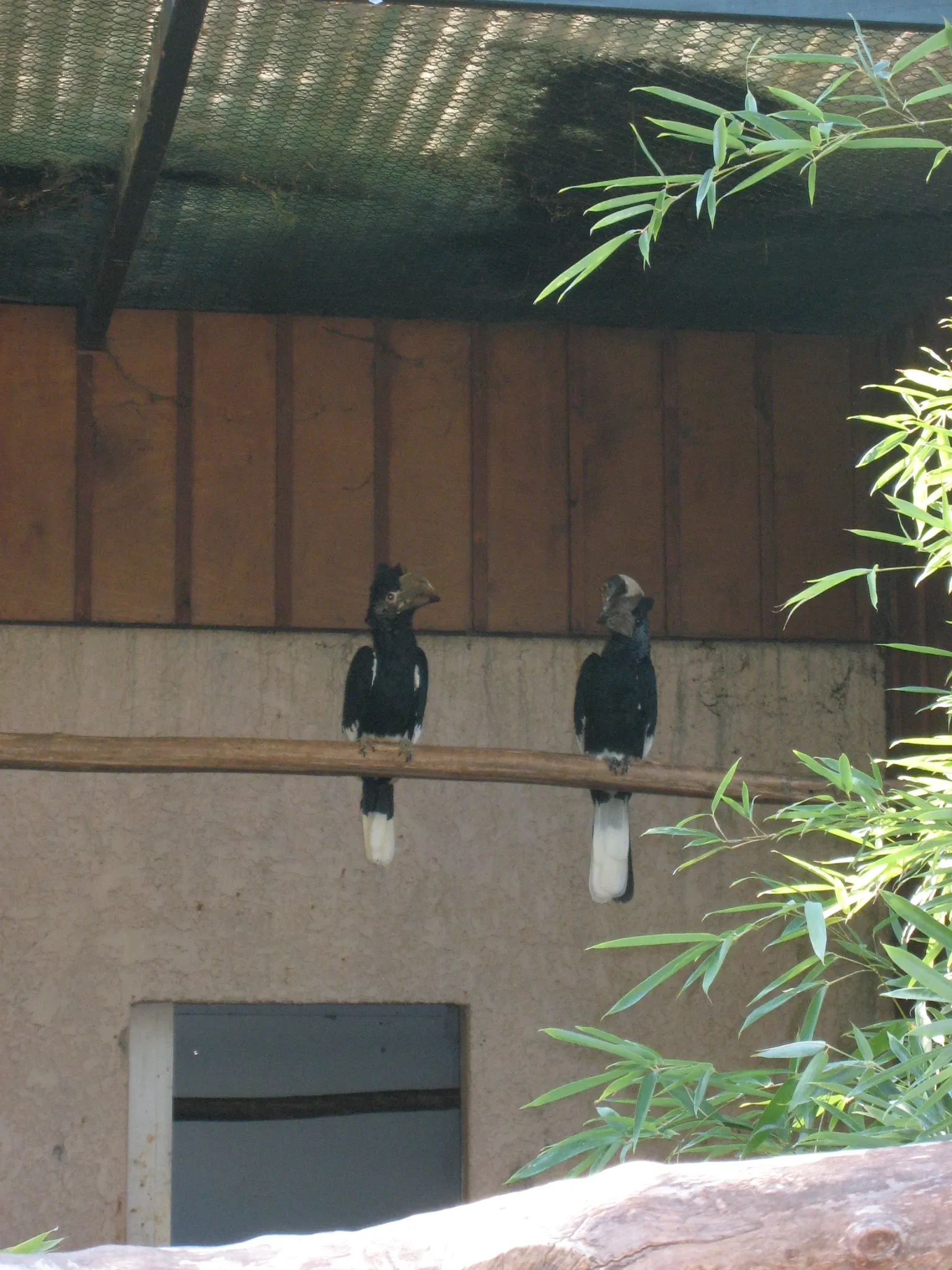 Jardin Zoologique Tropical