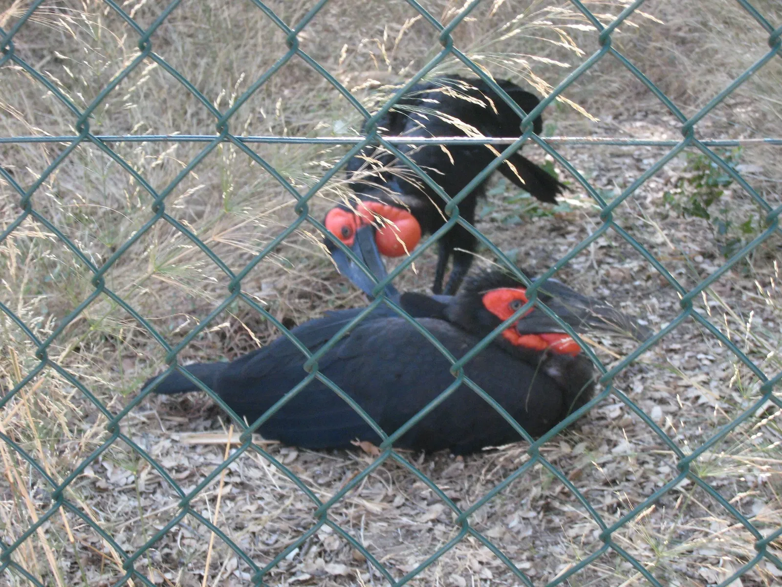 Jardin Zoologique Tropical