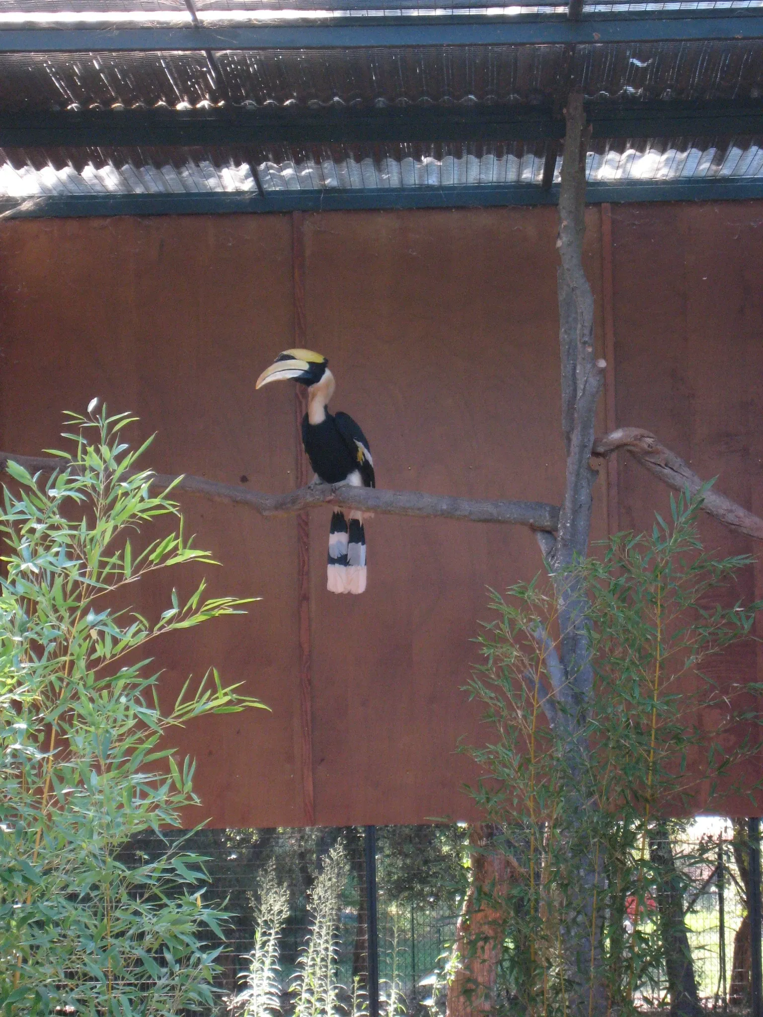 Tropical Zoological Garden