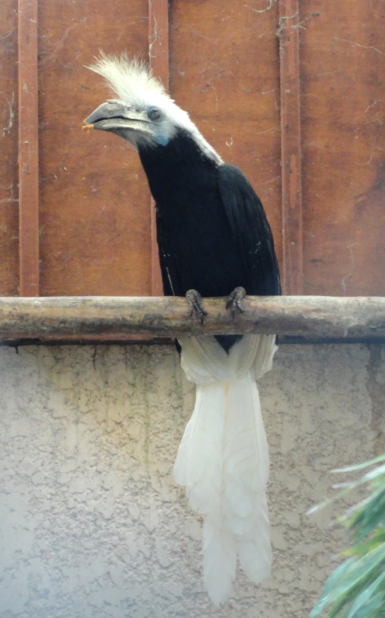 Tropical Zoological Garden