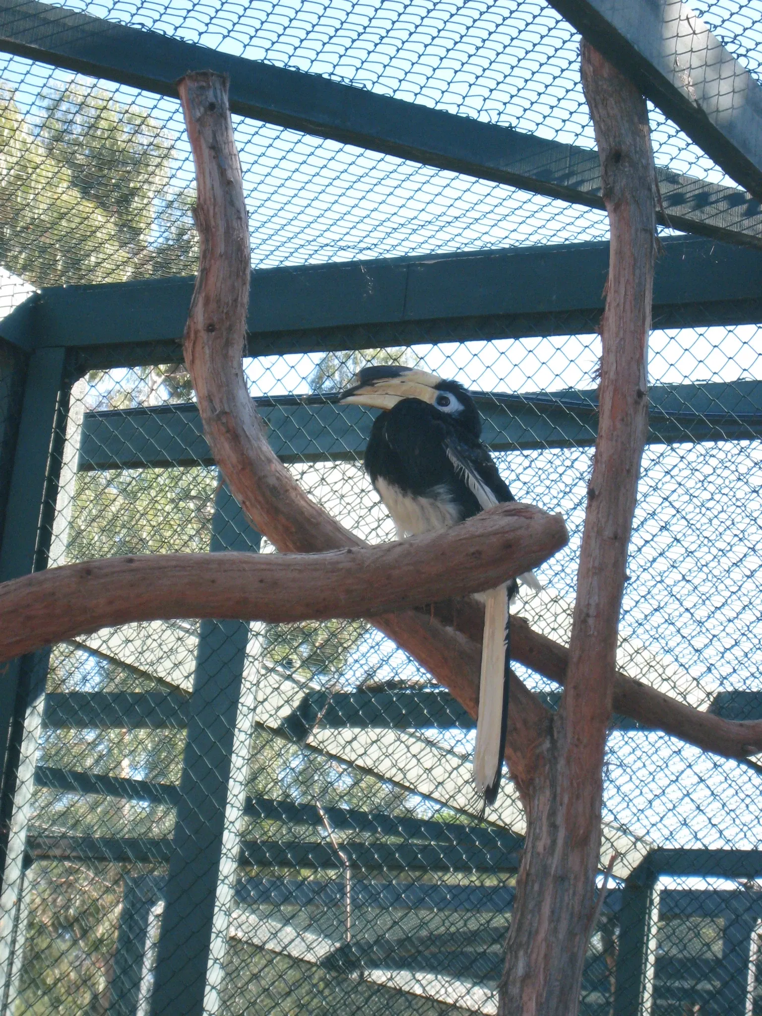 Tropical Zoological Garden