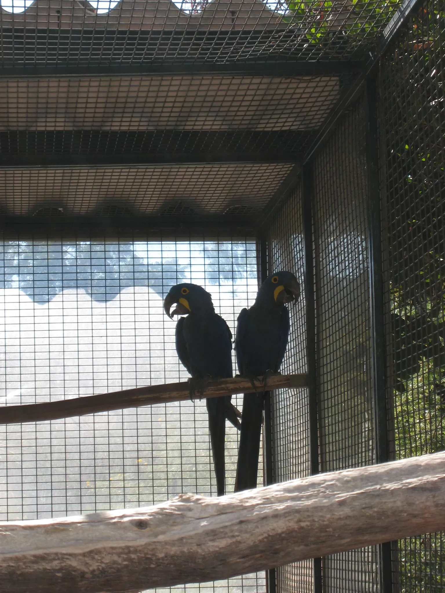 Tropical Zoological Garden