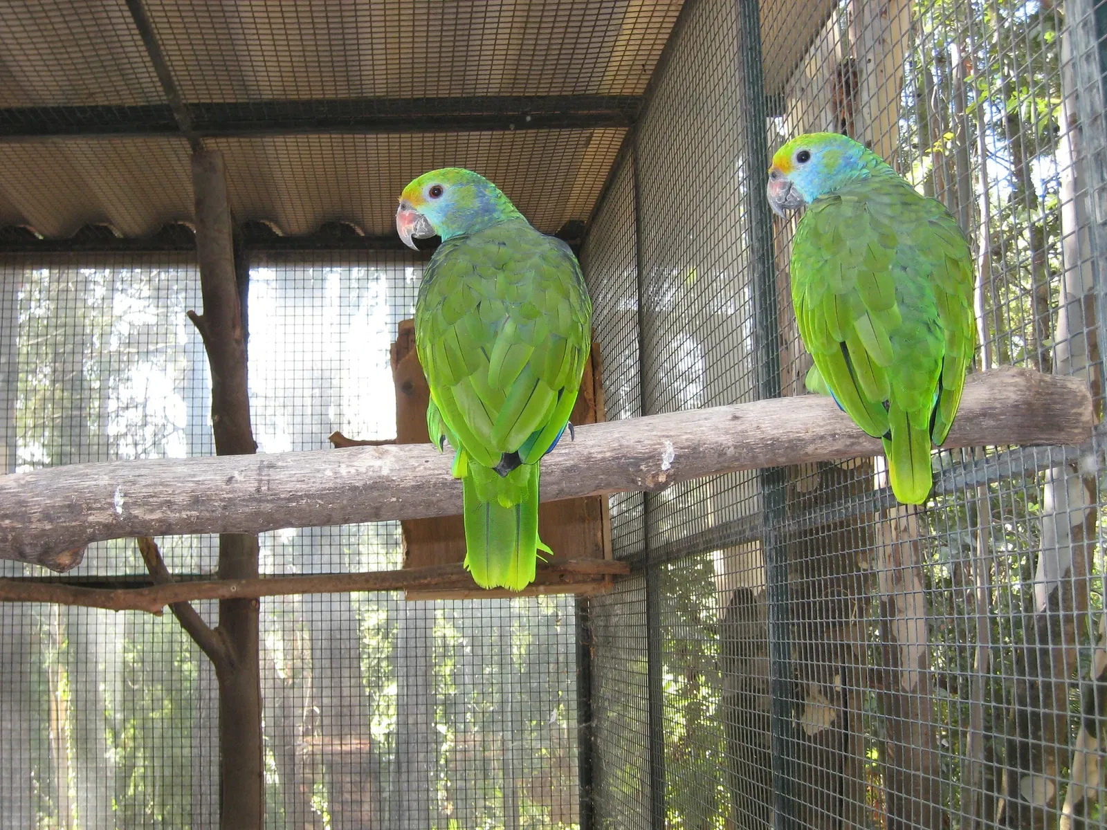 Jardin Zoologique Tropical