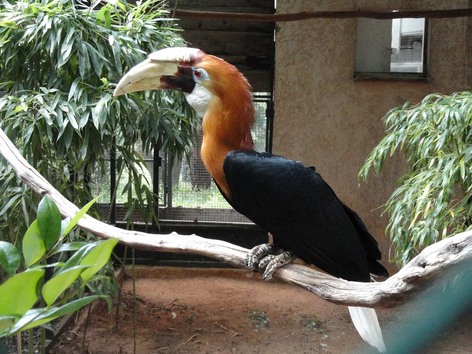 Tropical Zoological Garden