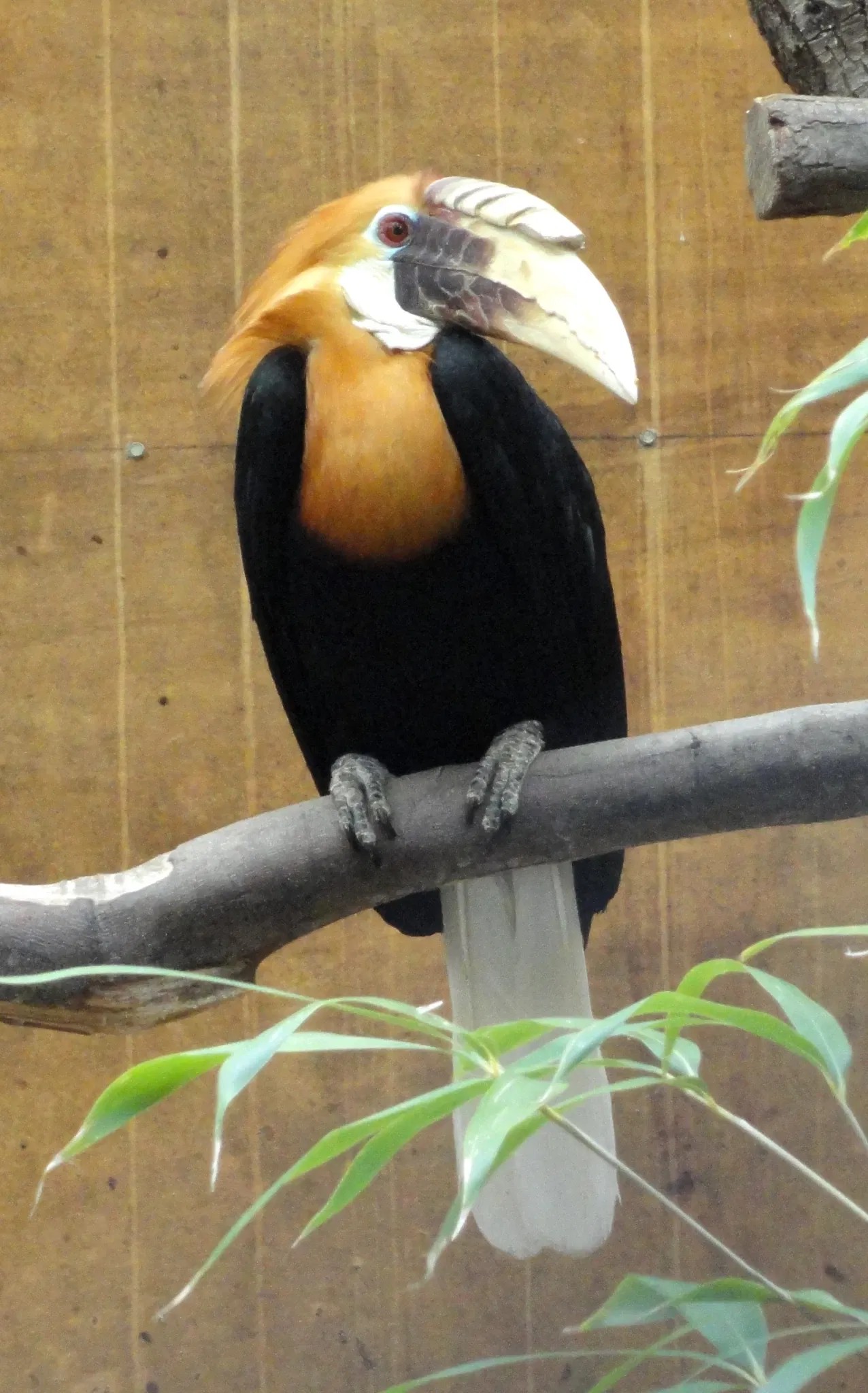 Jardin Zoologique Tropical