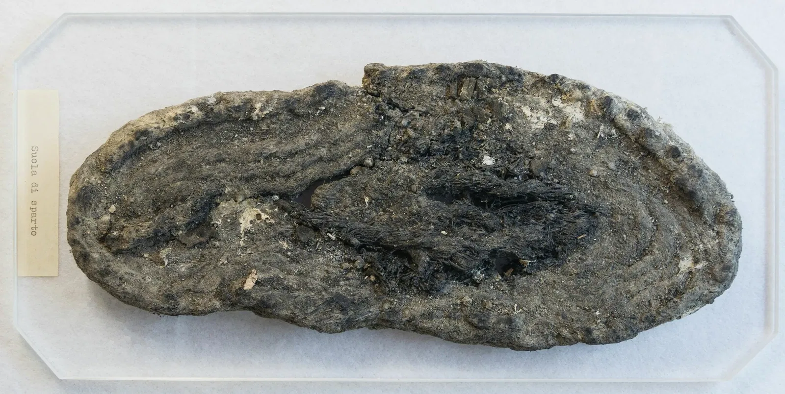 Antiquarium di Boscoreale