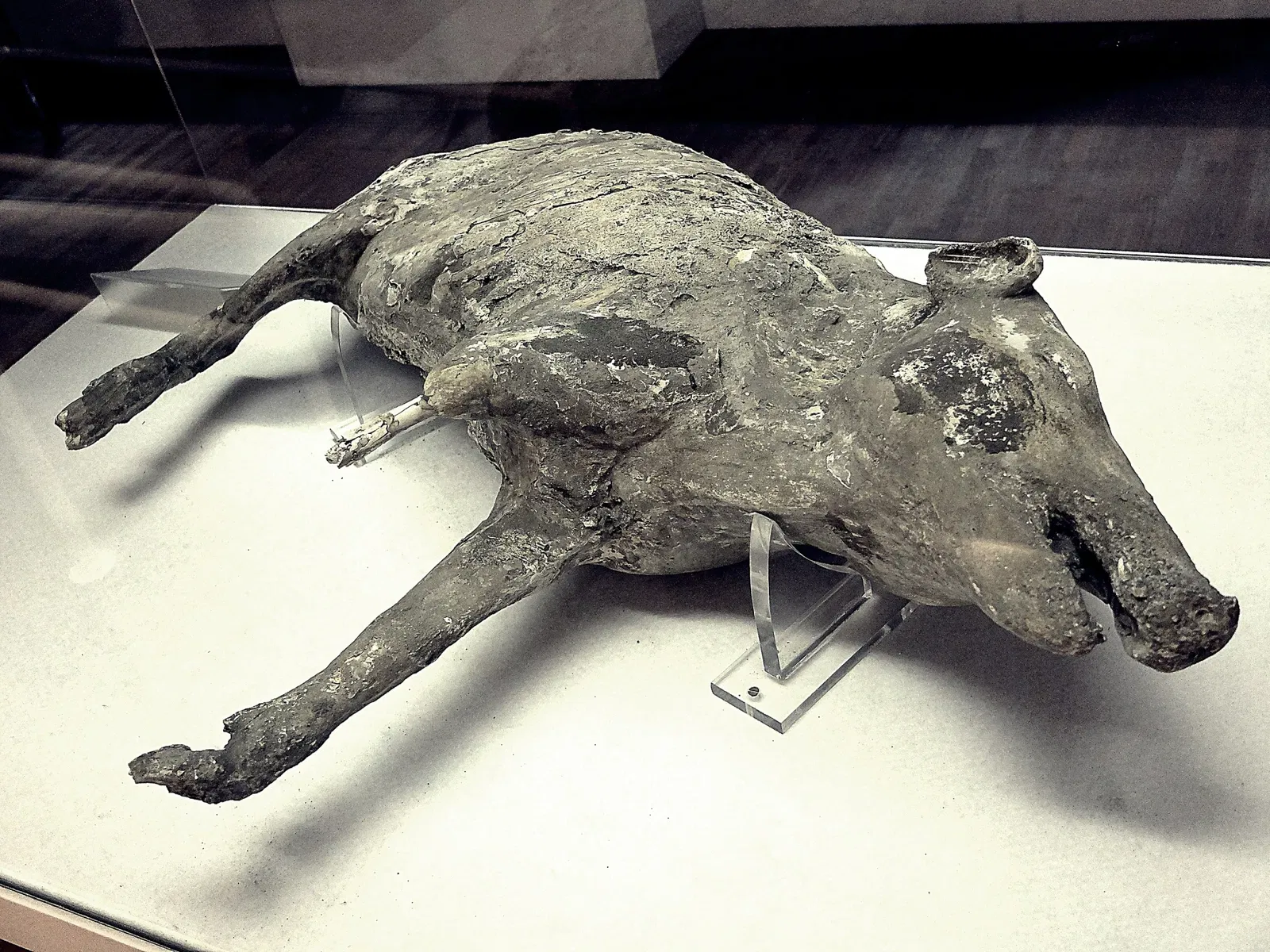 Antiquarium di Boscoreale