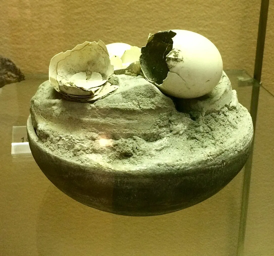 Antiquarium di Boscoreale