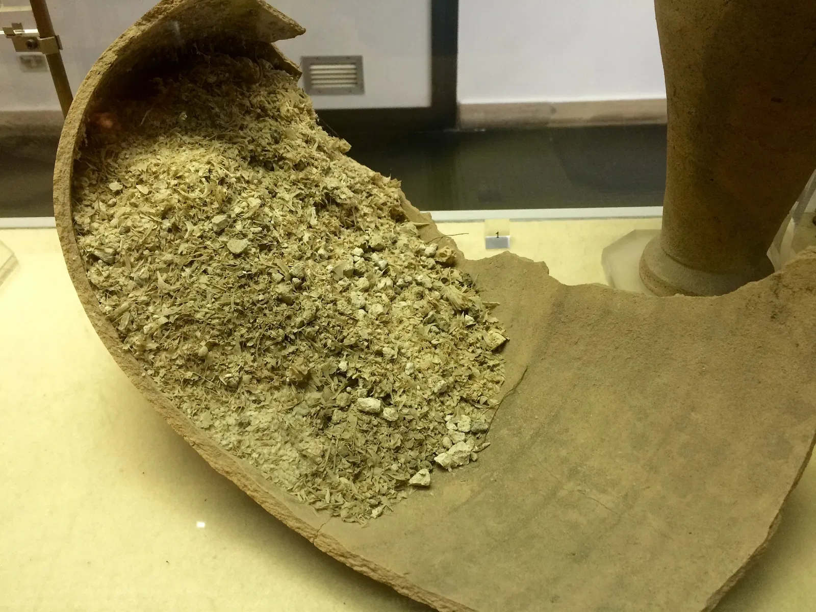 Antiquarium di Boscoreale