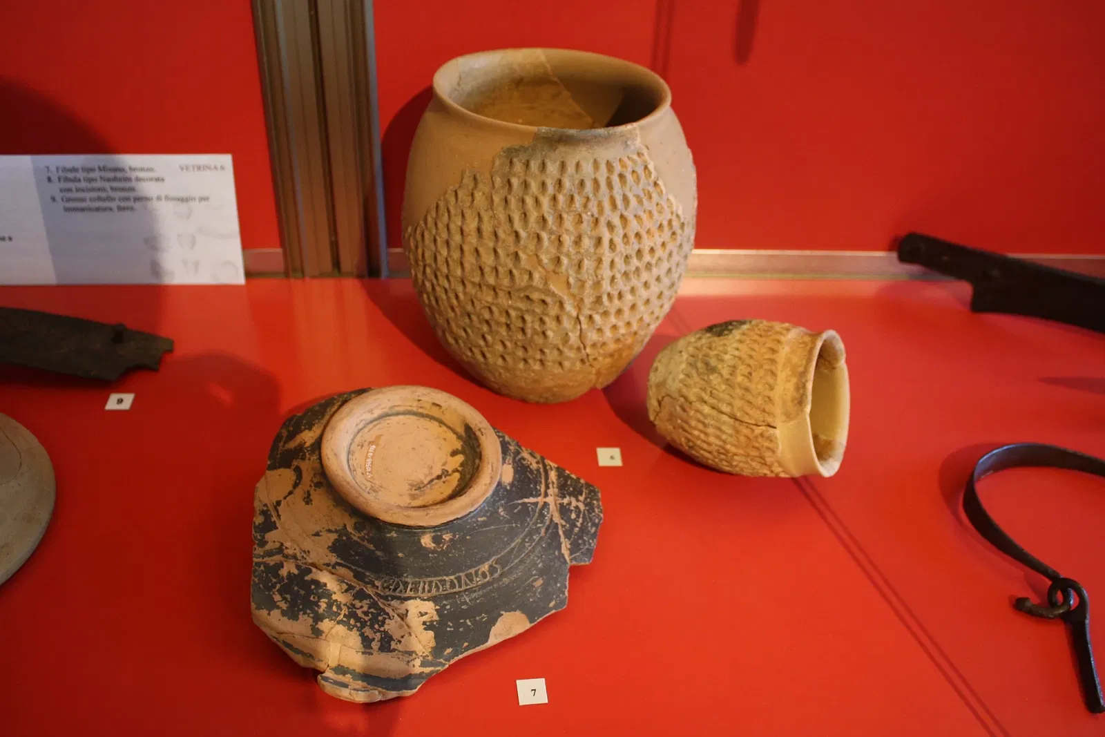 Museo Civico Guido Sutermeister